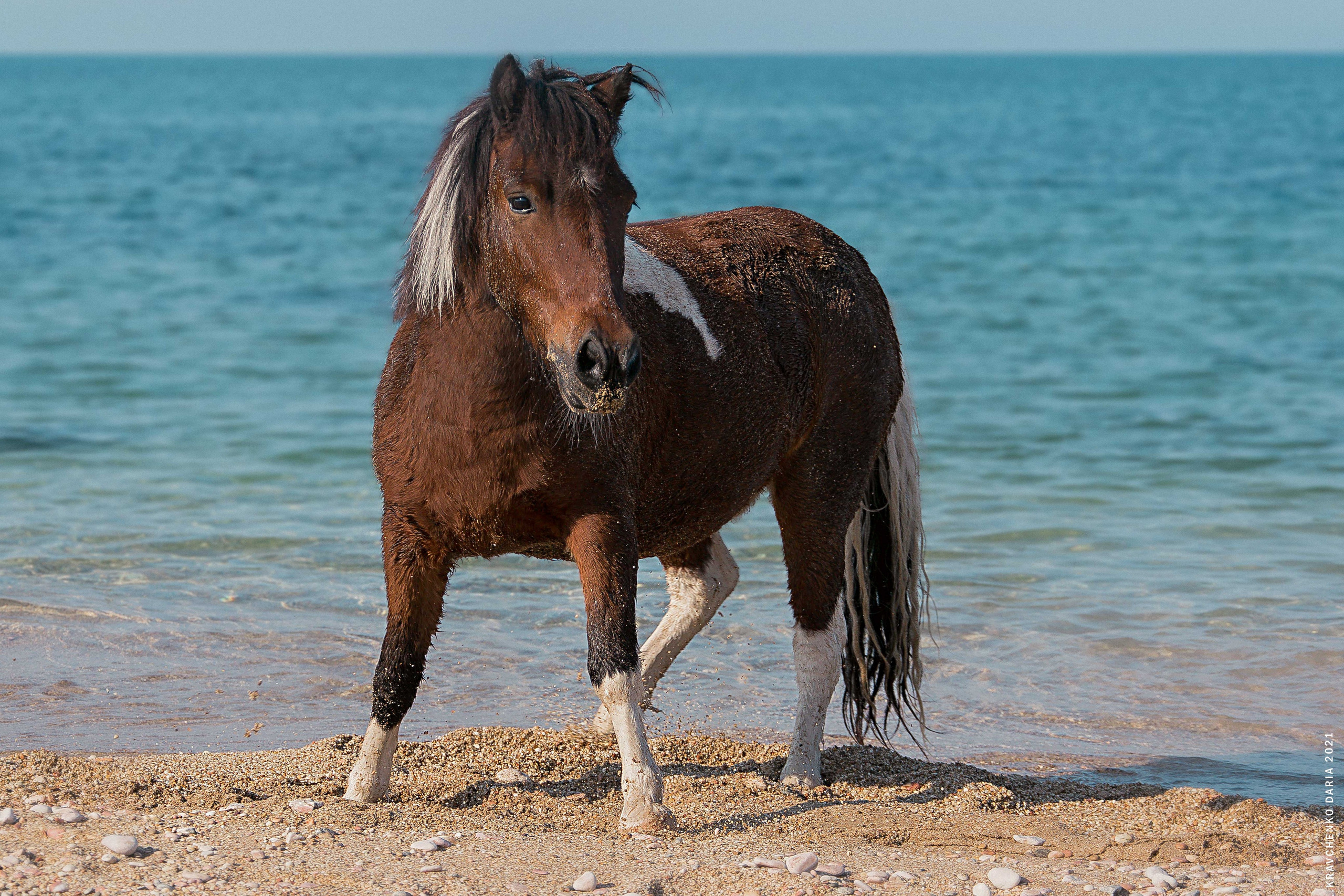 Миф и Фунтик. Фотограф в Севастополе