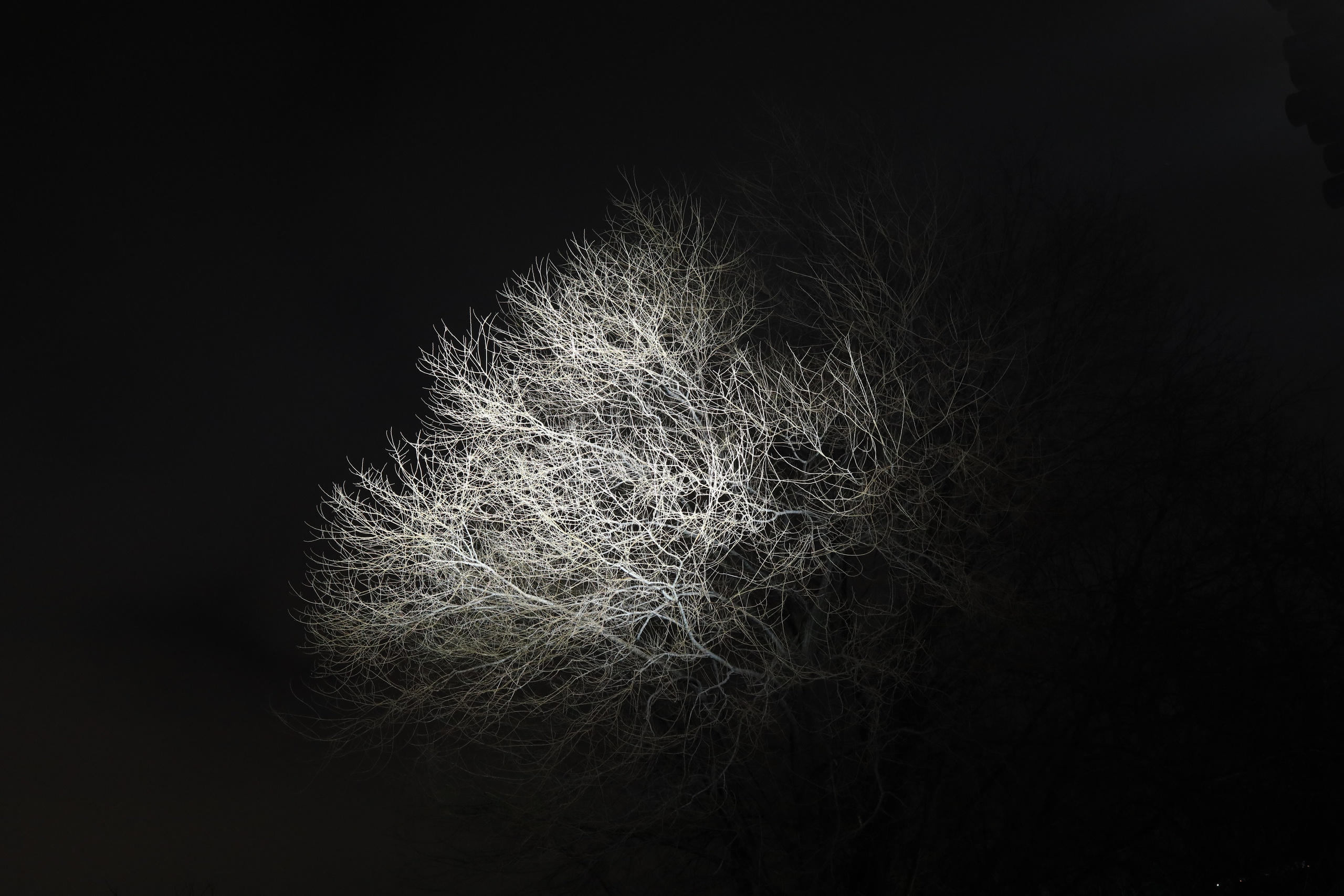 My beautiful days / Moscow 2024. POLINA MÔMOT