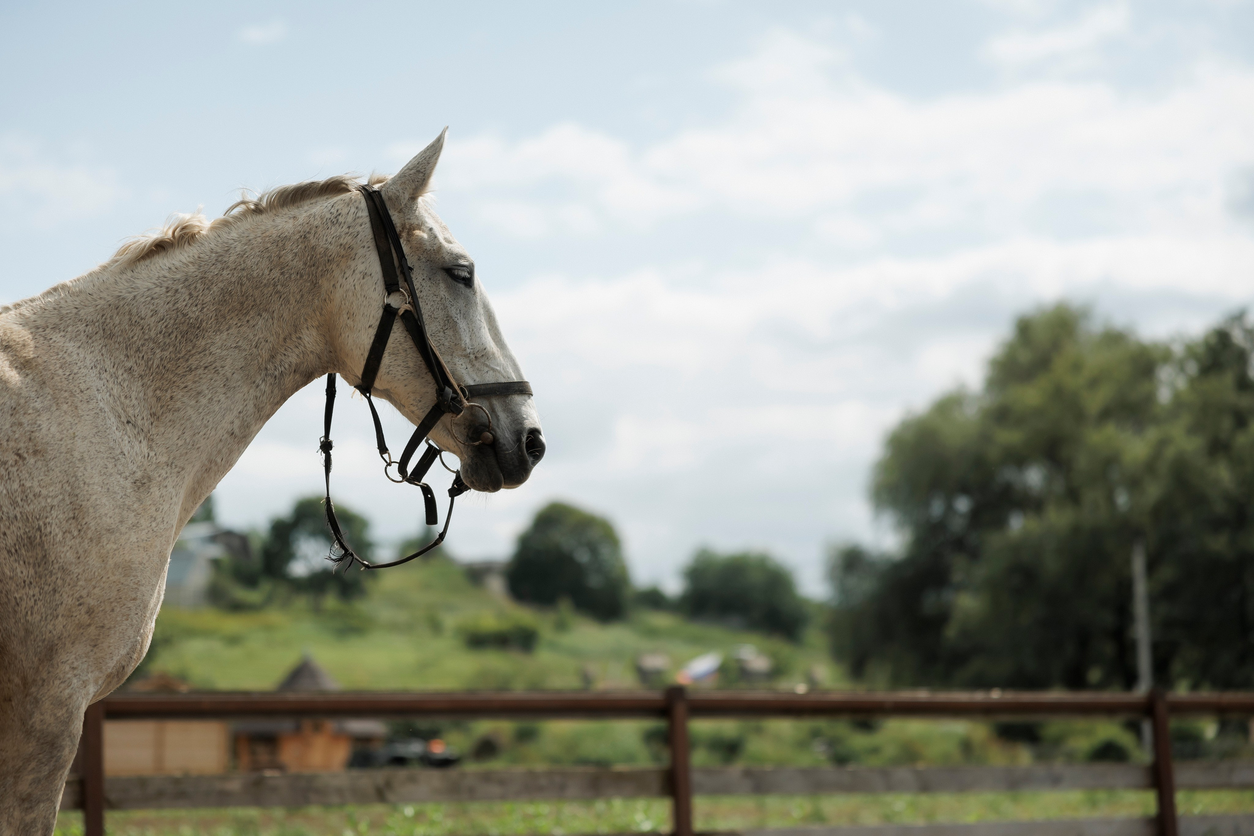 Арина и Владислав. Свадебный Фотограф Максим Пустовой