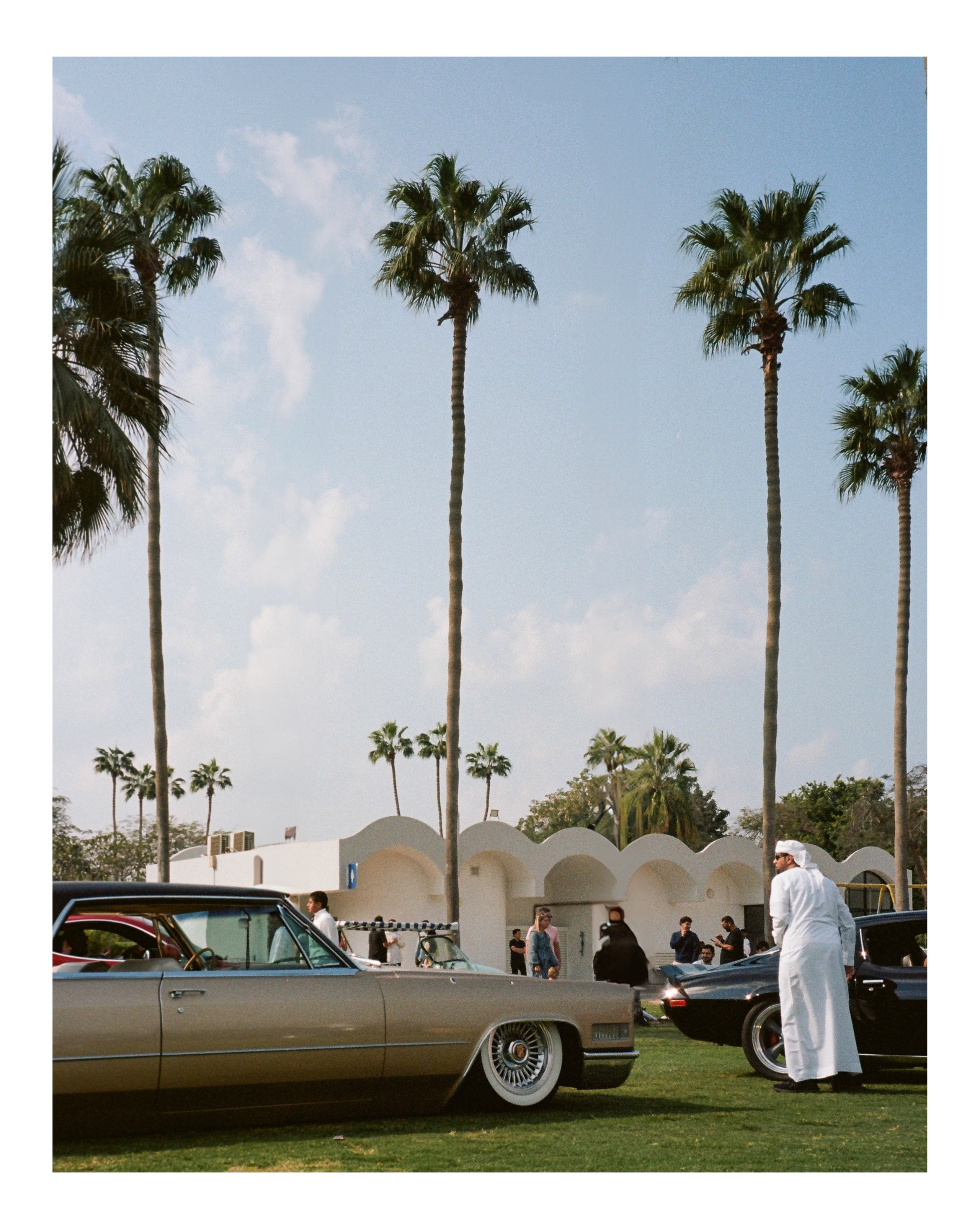 The Grand Picnic (35мм). Katyavasileva