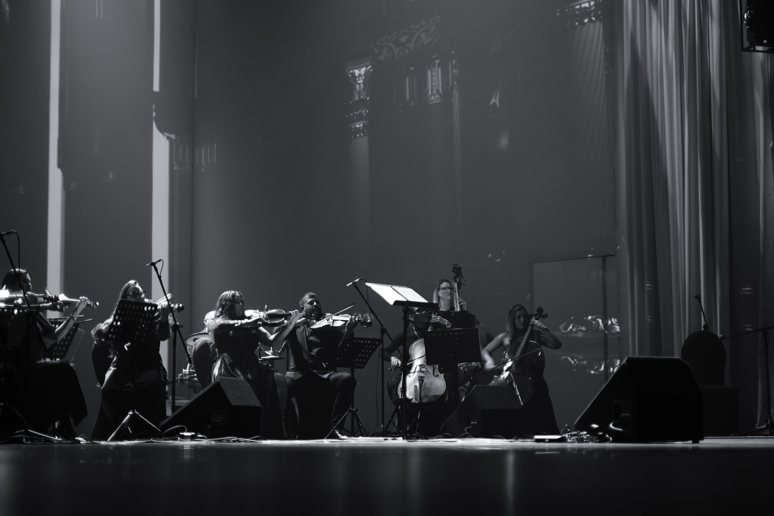 TODA is back. Katyavasileva