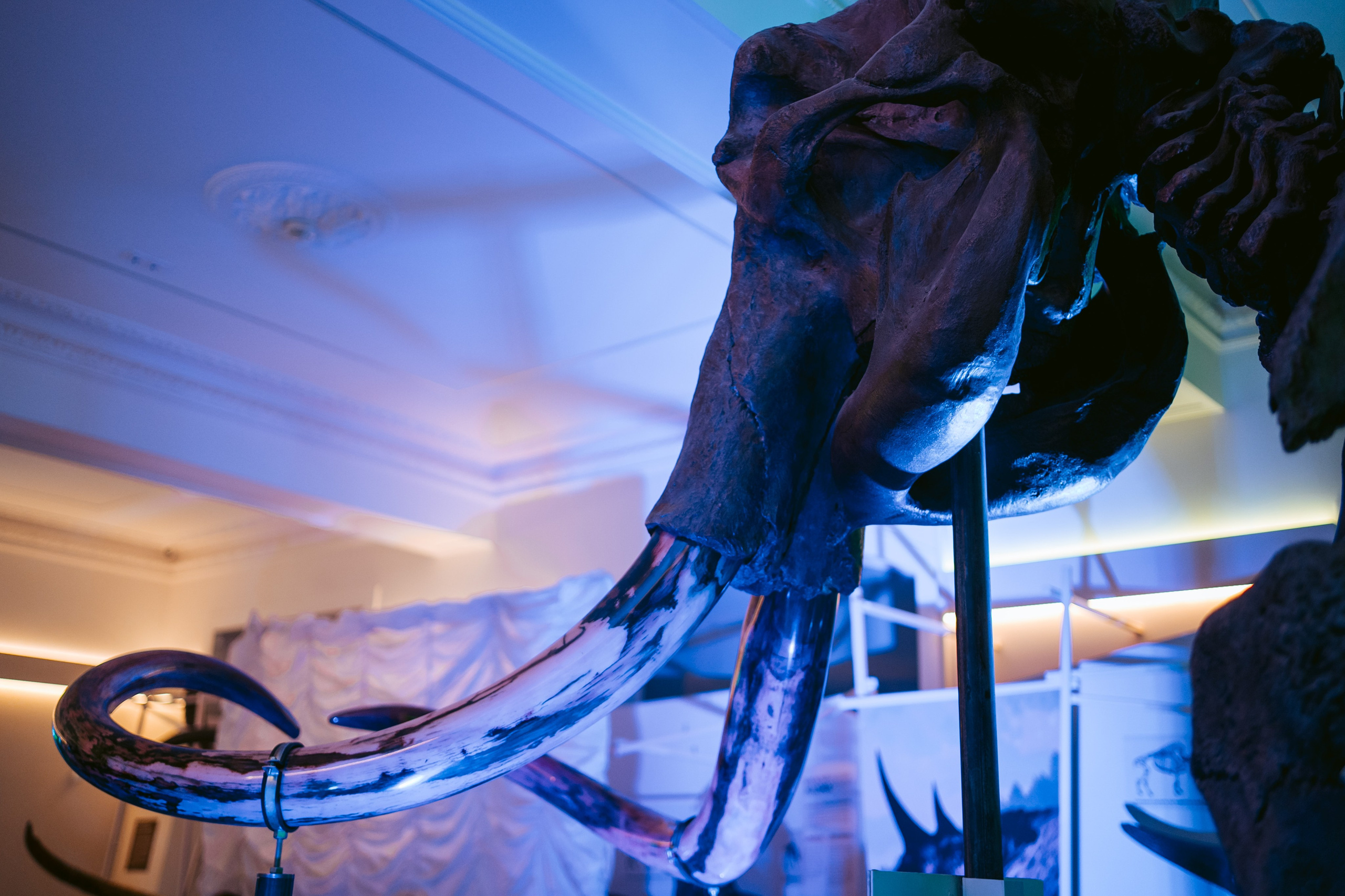 Ночь искусств 2023. Фотограф на любое событие в Кемерово