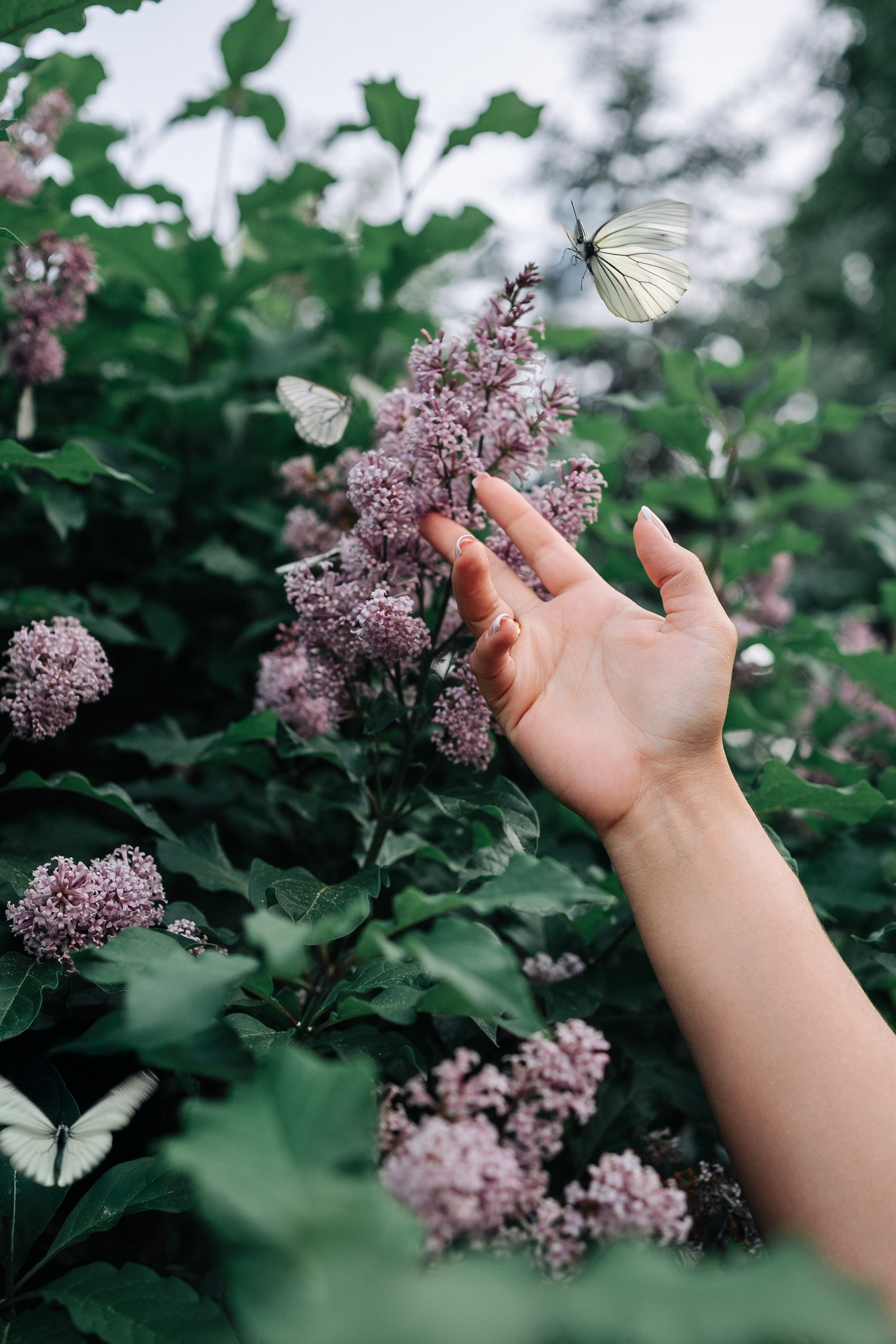 Константин и Галина. Фотограф и видеограф Олег Игнатов | Свадьбы, Love Story, реклама и корпоративы — Красноярск