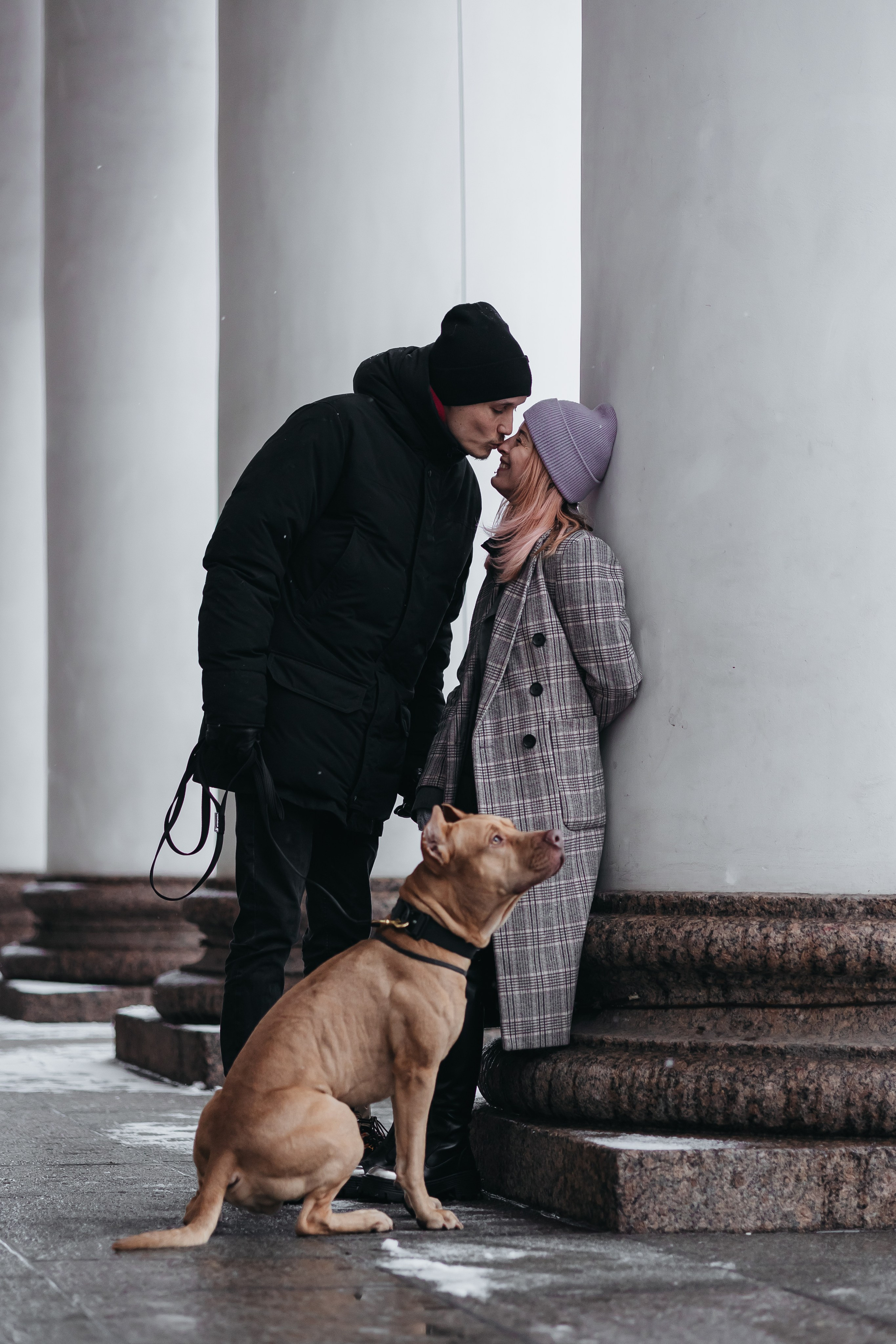 Саша, Света и Ицар. Фотограф-анималист в Санкт-Петербурге Алина Яхонт