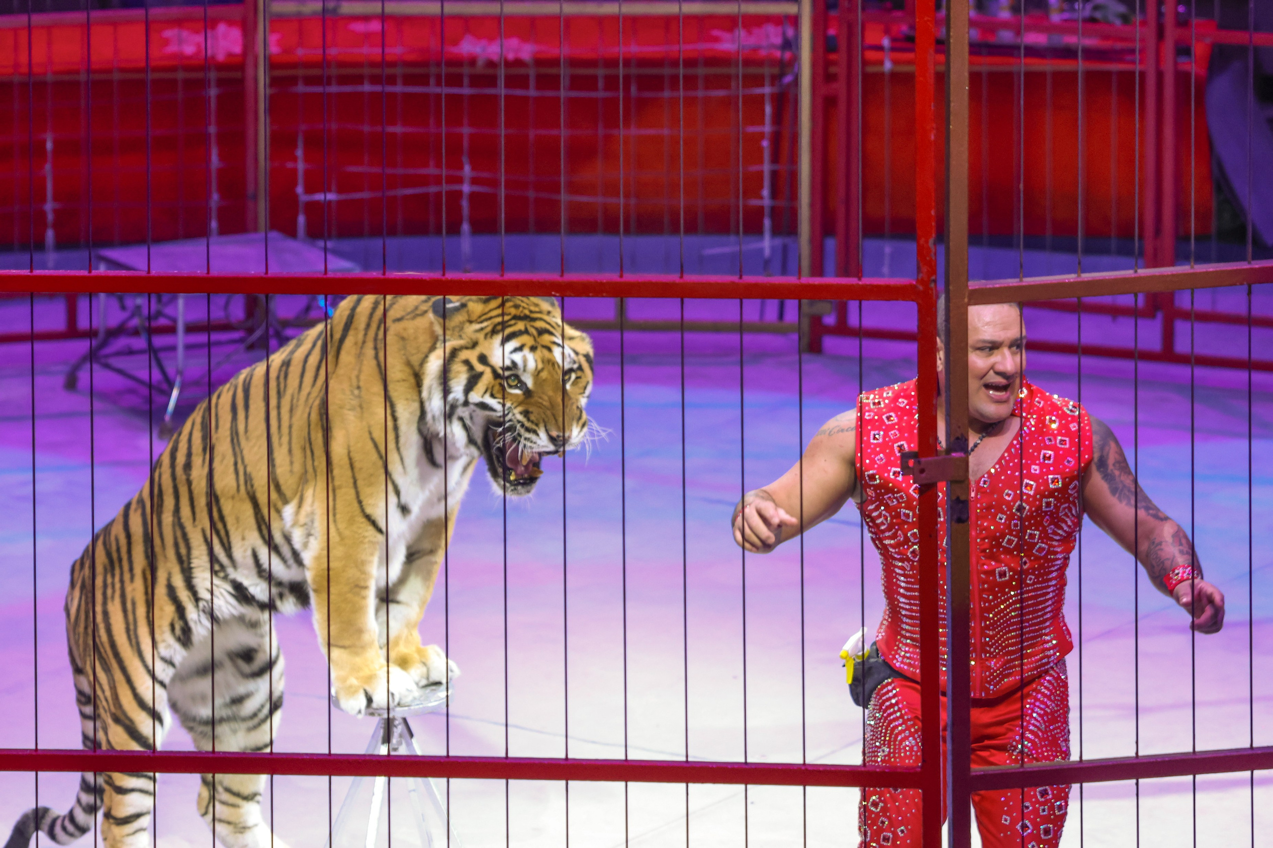 Цирк. Фотограф Дмитрий Алексеев