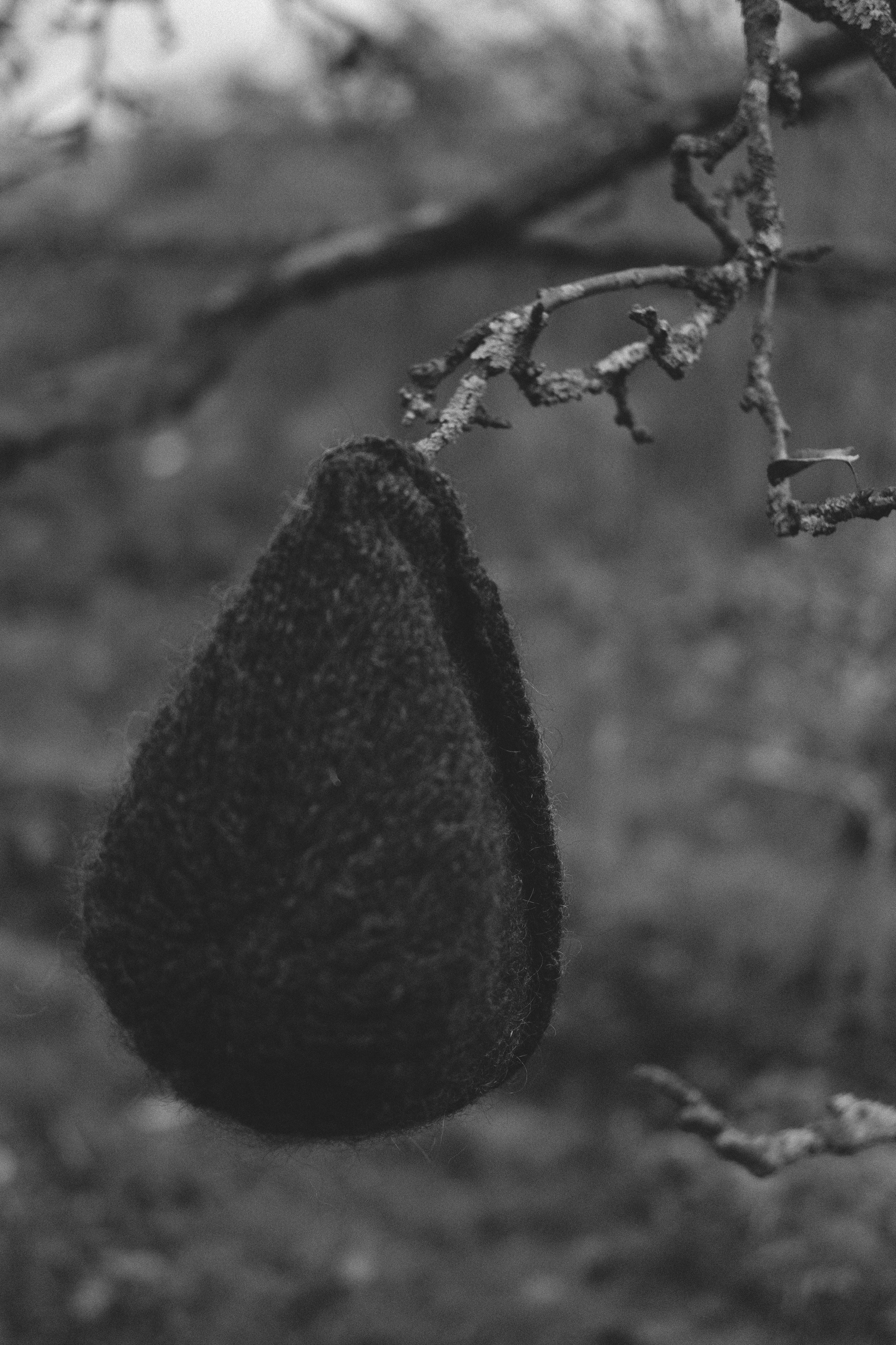 Жизнь сада. Works