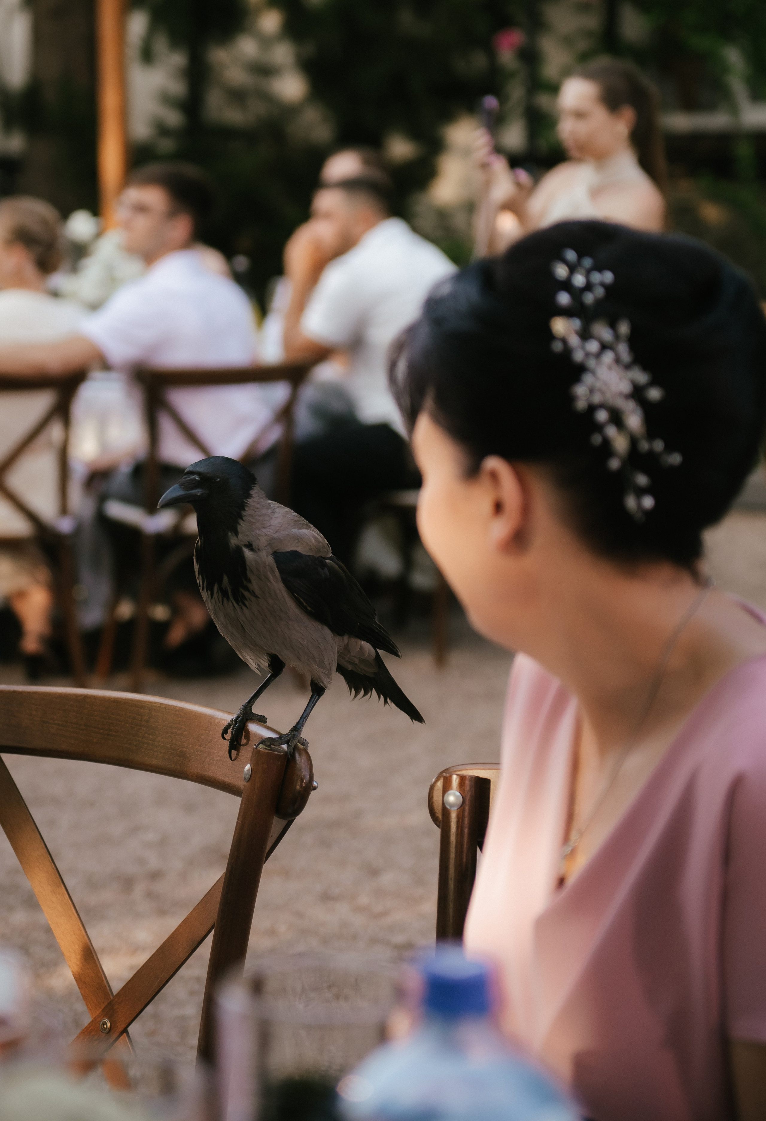 12.06.25. Свадебный, женский, семейный фотограф в Севастополе Юлия Мошенко