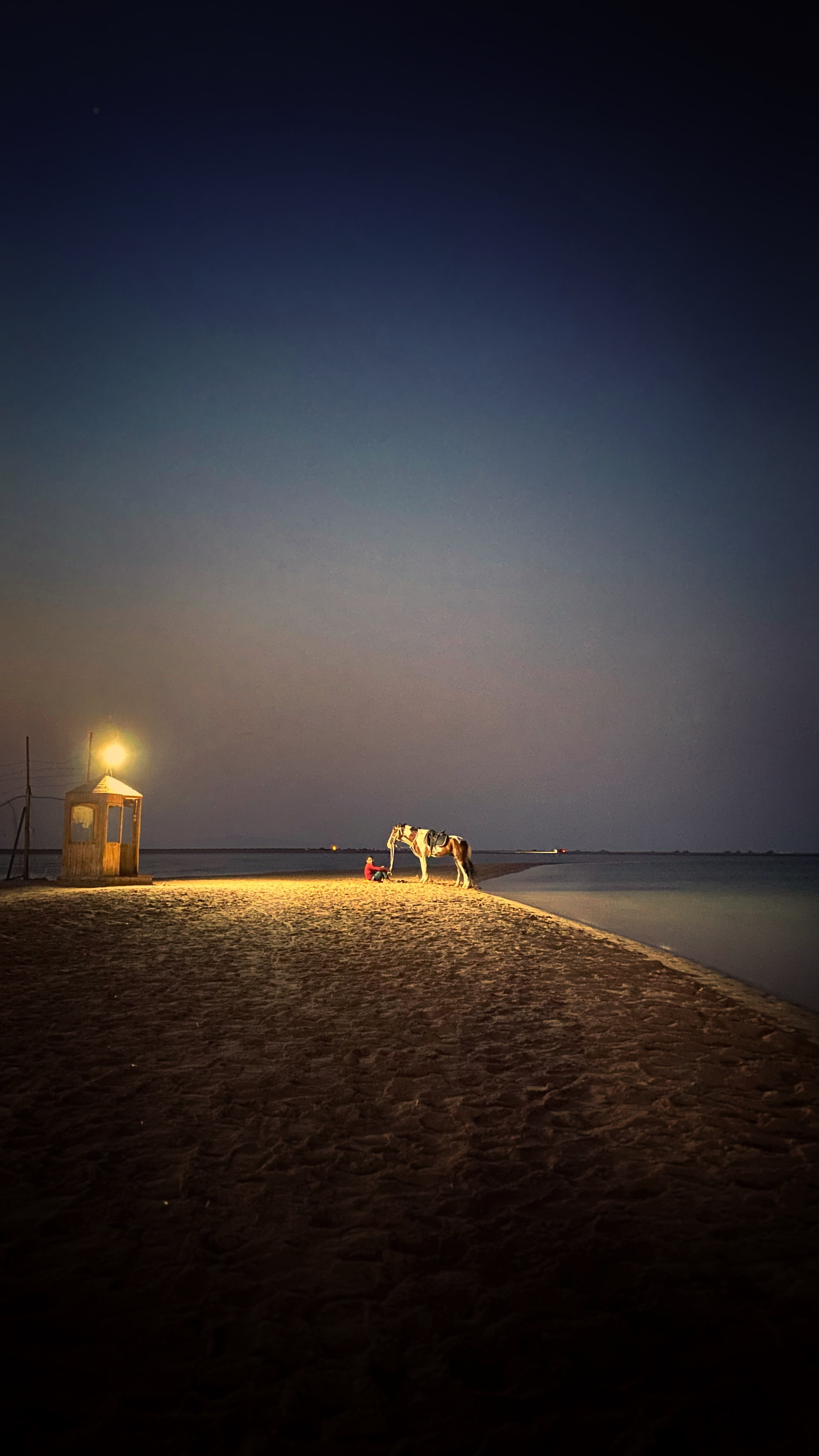 Снято на телефон. Фотография, ретушь, сканирование, восстановление старых фото, интерьерная съёмка, студия. Данилов Александр, Москва