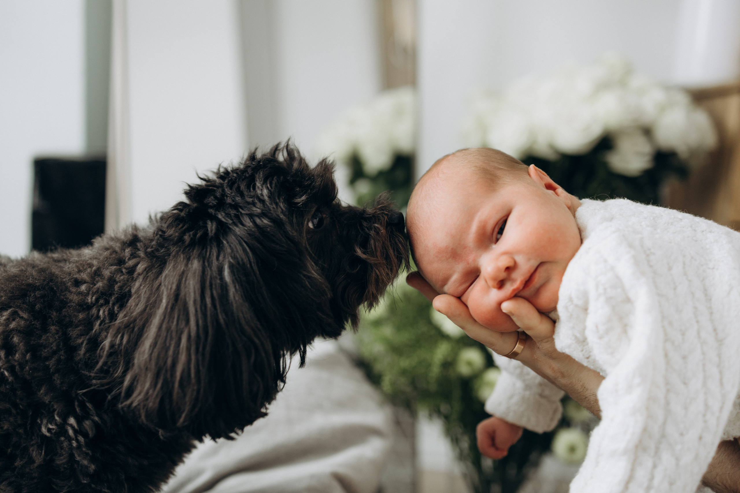 Малышка Вера. Семеный, Детский, Love story фотограф
