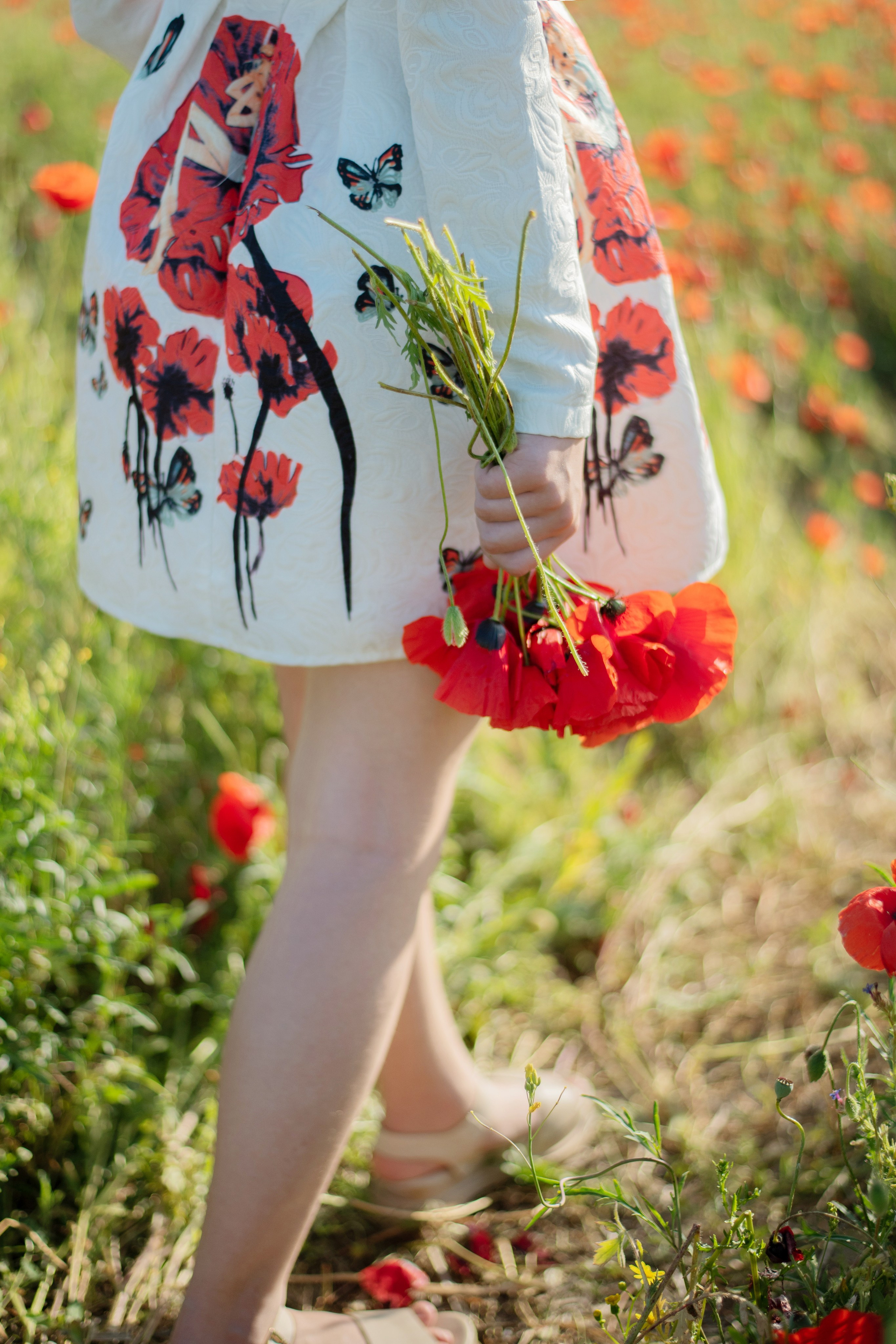 Лето. Лина Курочка — ваш фотограф