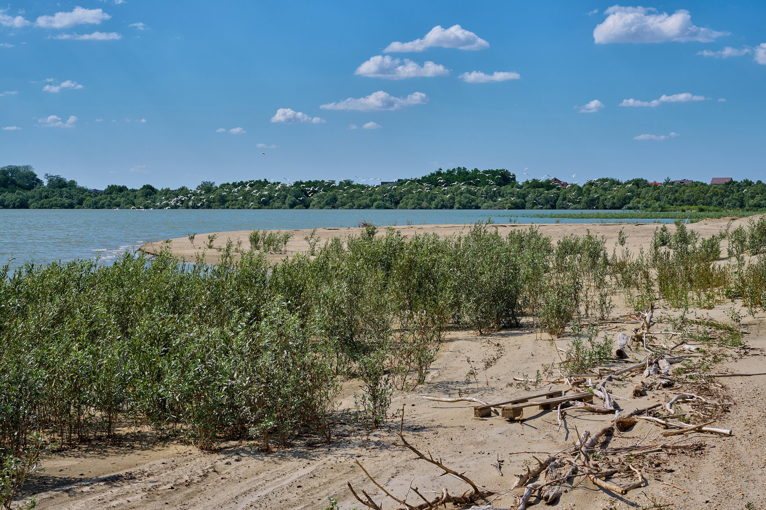 Пляж на реке Кубань. Яркие фото на Чёрном море