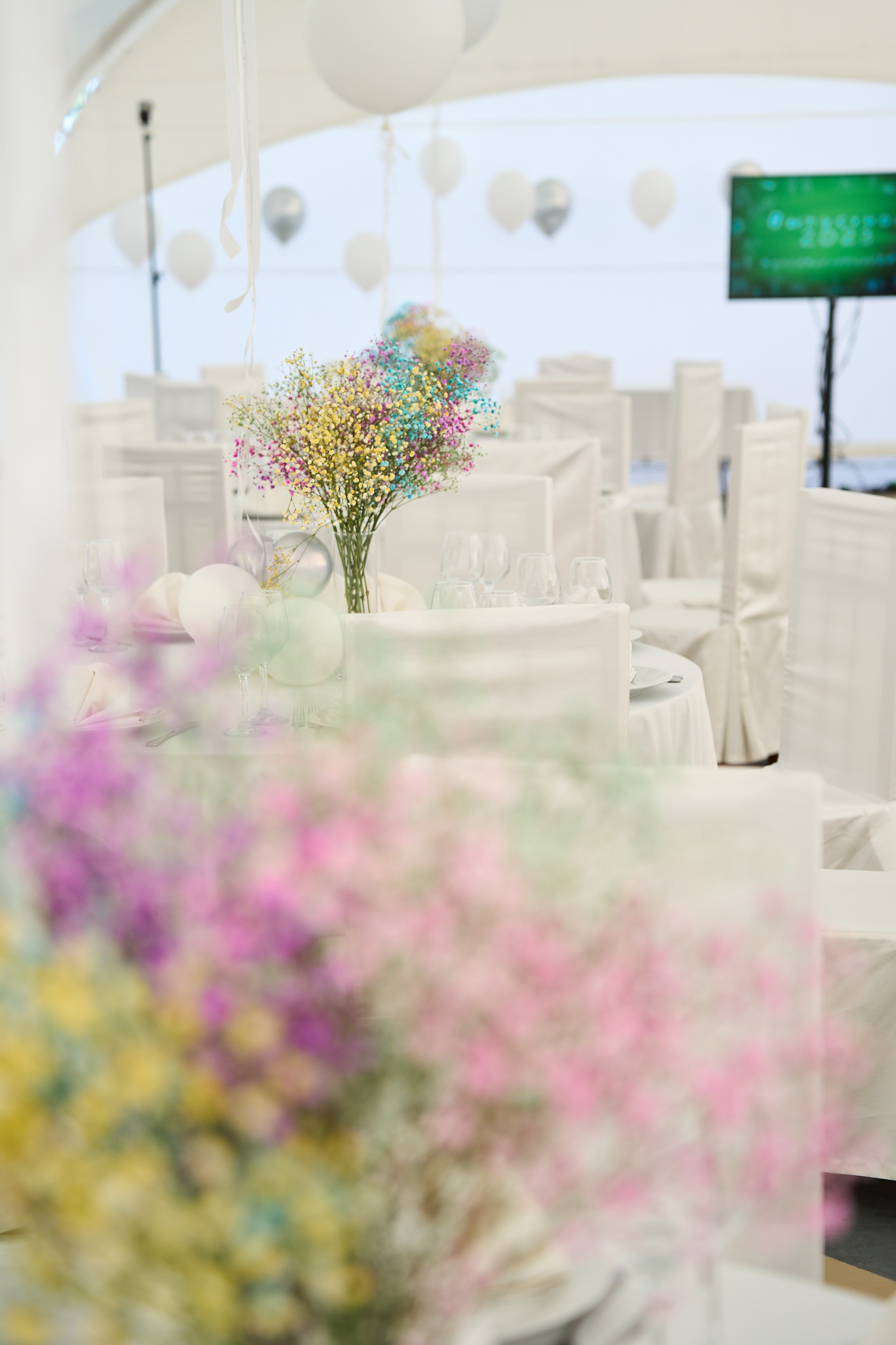 организация выпускного, организация выпускного москва, организация выпускного под ключ, организация выпускных 11 класс под ключ,	организация выпускного 11 класс под ключ москва,