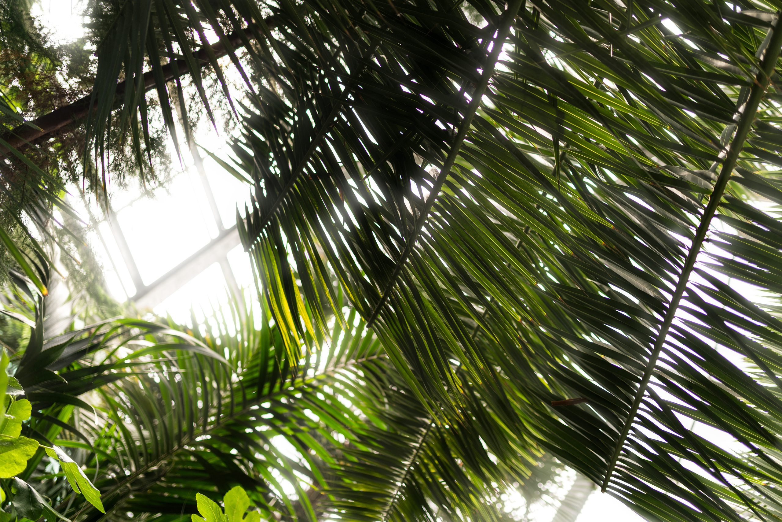 ОКСАНА. Автофотограф, фотограф в Калининграде Маринчик Кирилл