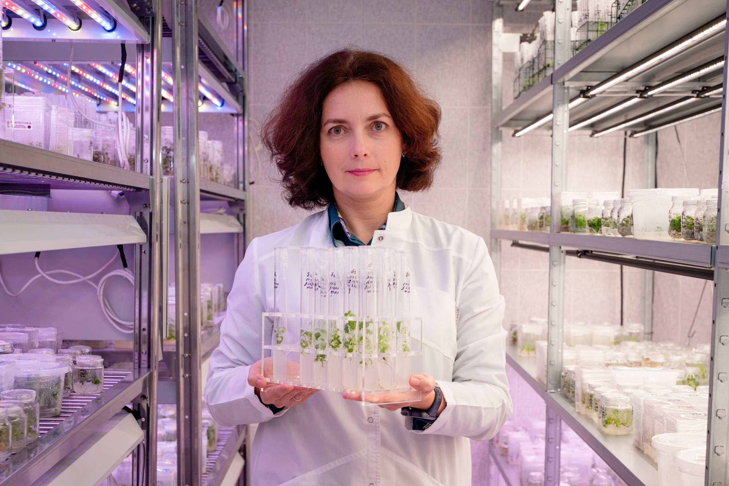 Международная конференция РАН