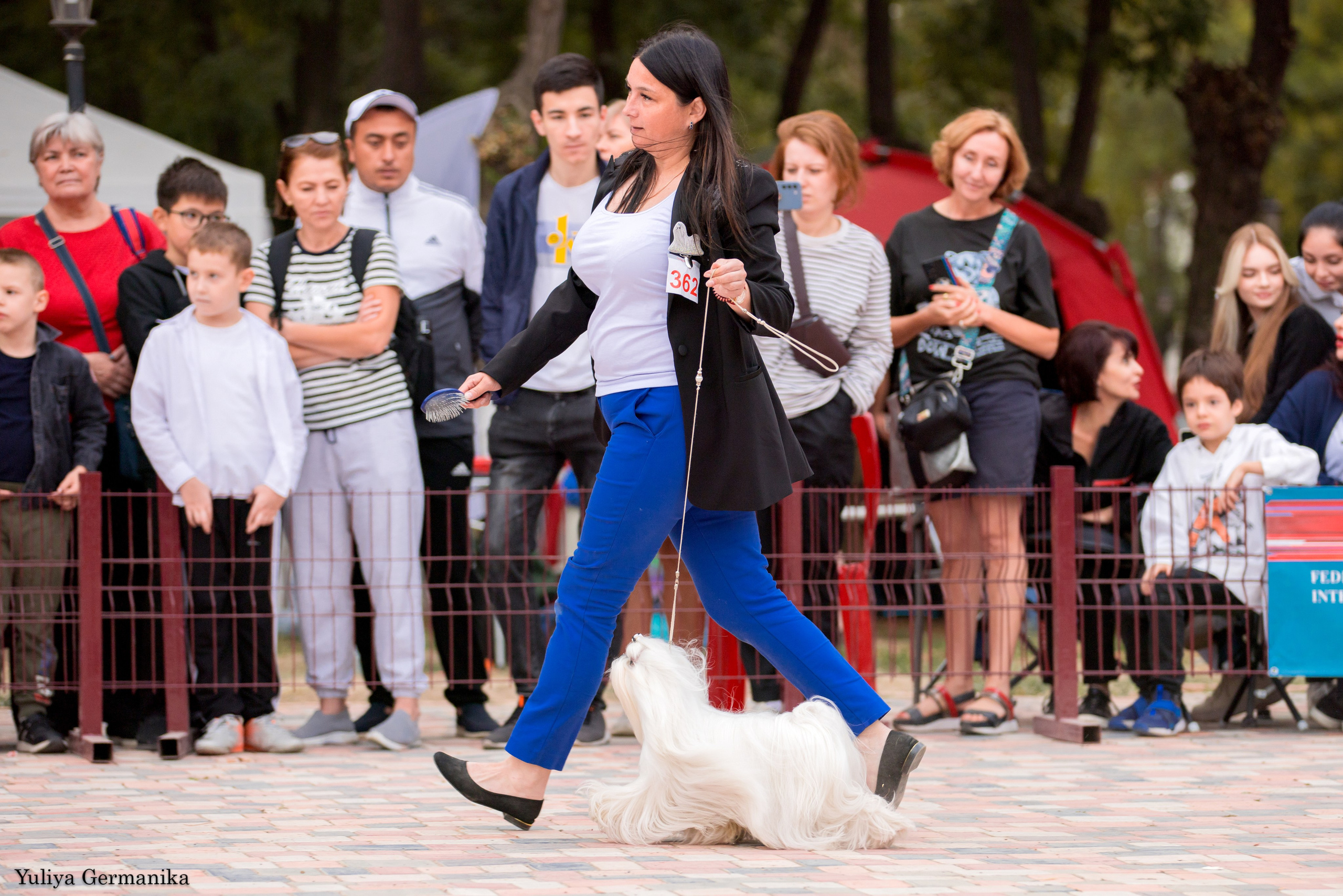 Ташкент 6-8.10.2023 + Алматы 14-15.10.2023. Фотограф-анималист Юлия Германика