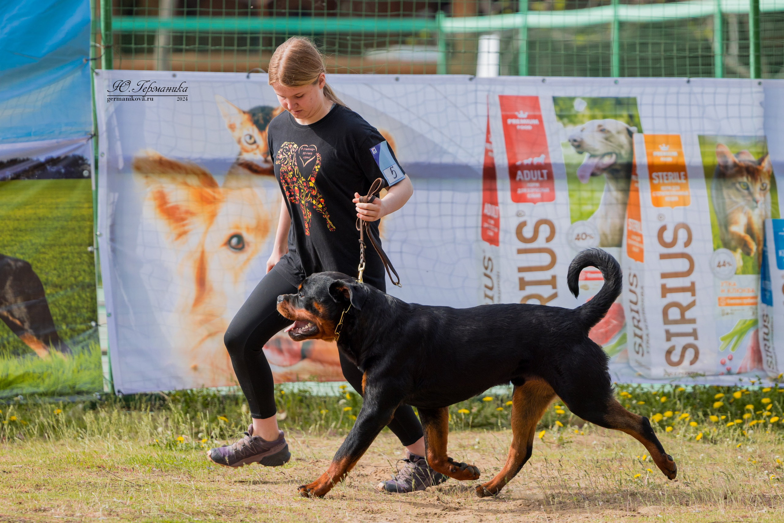 Саратов 2 х моно ротвейлеров 28-29.04.2024. Фотограф-анималист Юлия Германика