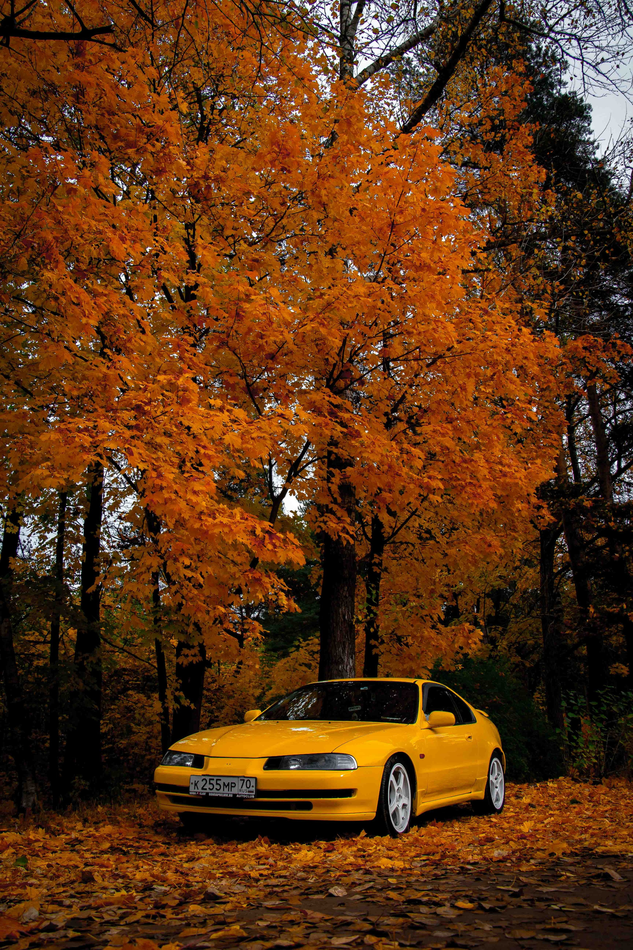 Осеннее настроение. Александр Попов