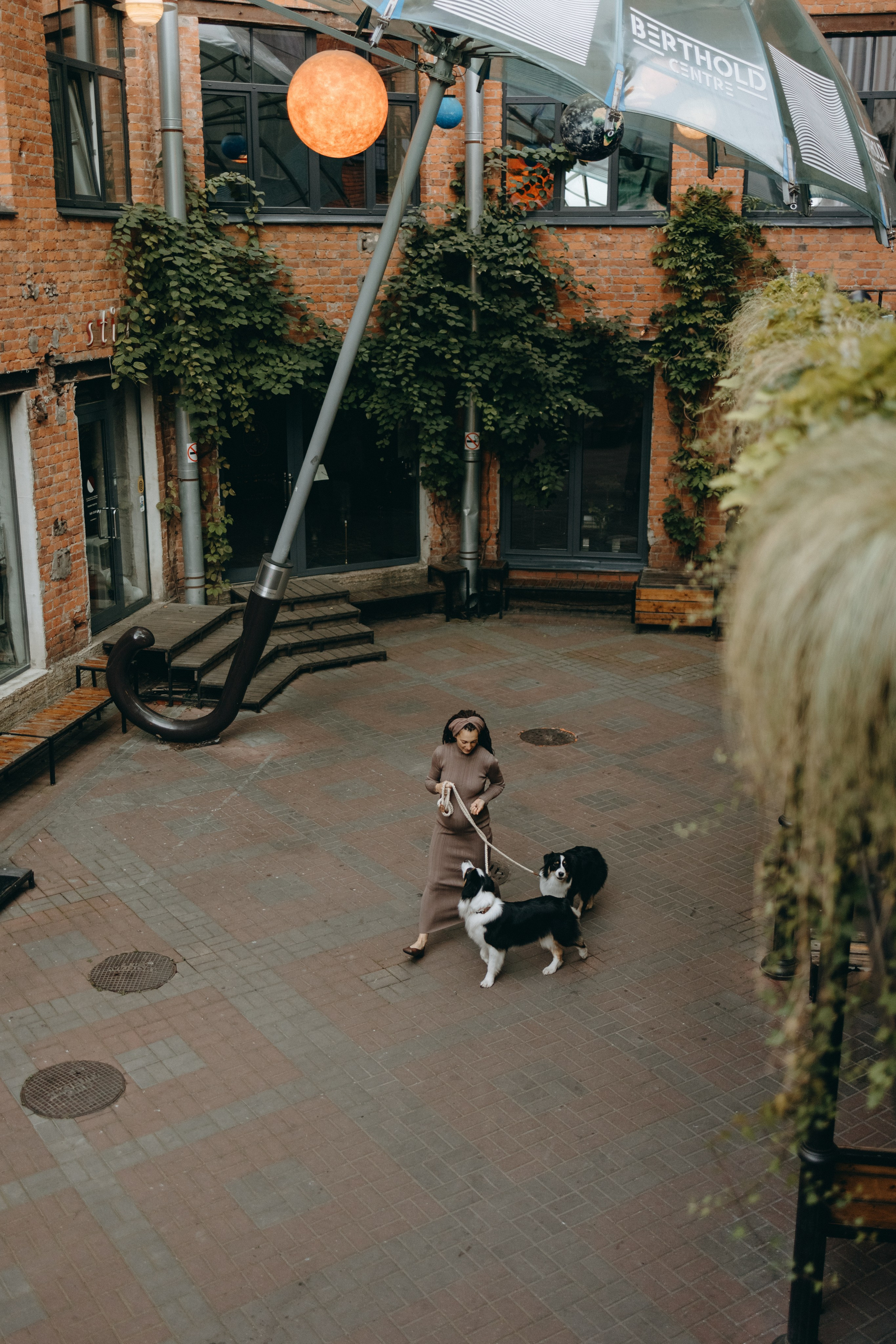 Катя и ее девочки. Фотограф — Анималист | Санкт-Петербург