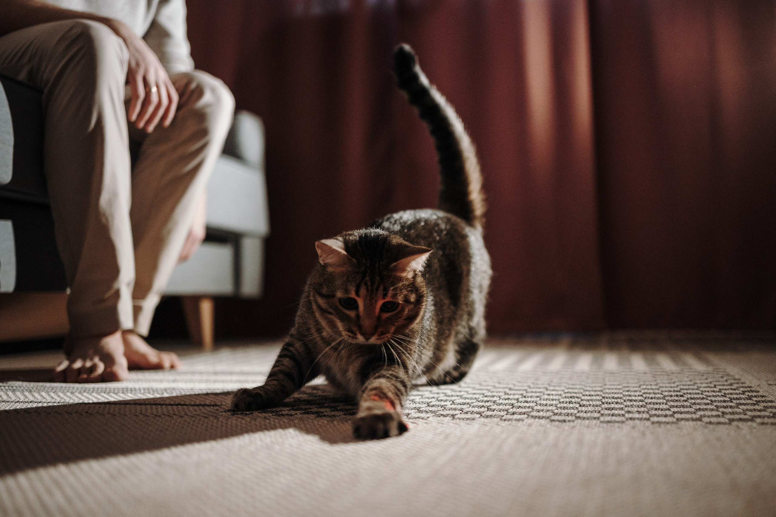 Мася и ее семья. Фотограф — Анималист | Санкт-Петербург