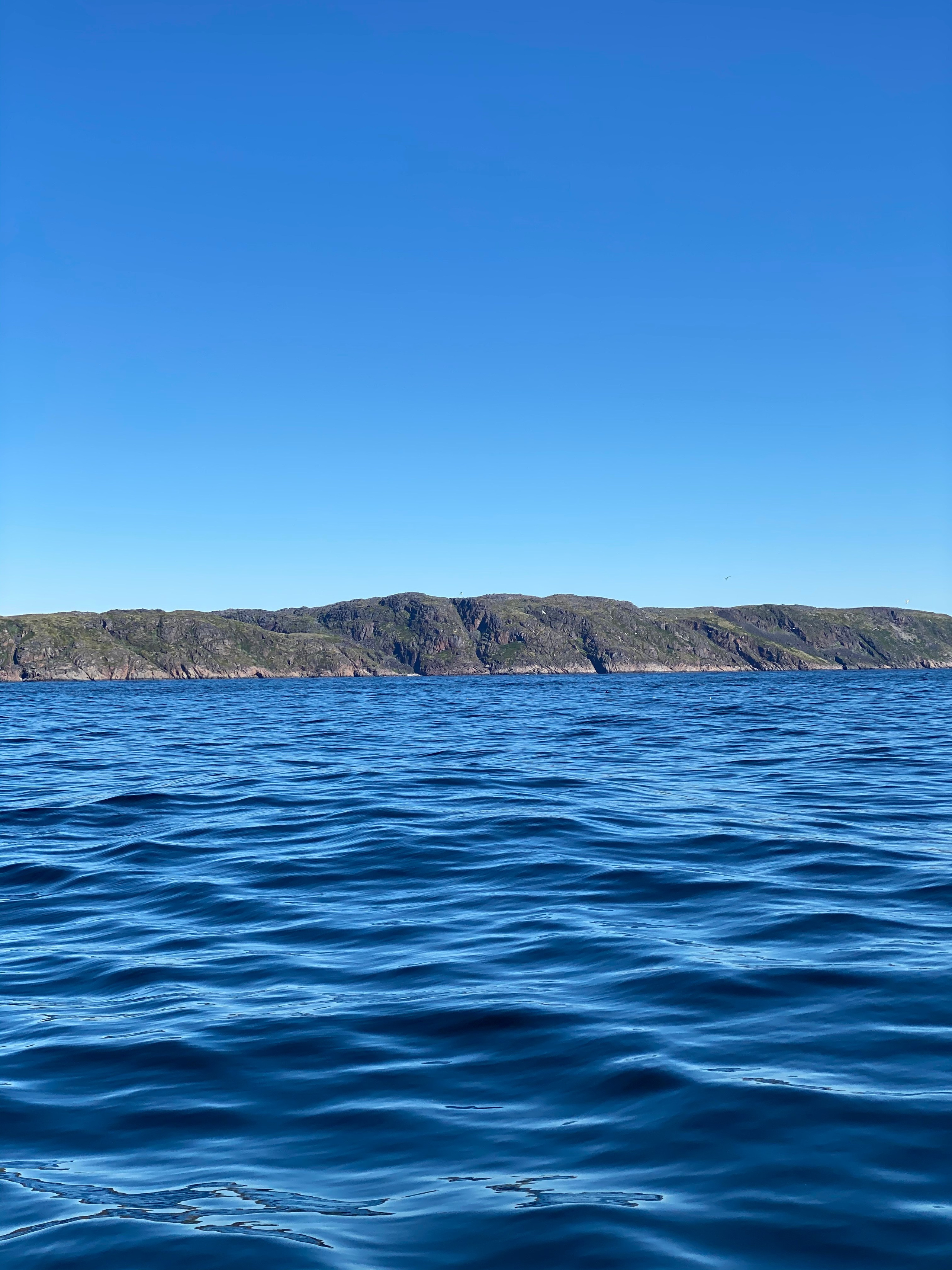 Териберка — 20. Своя Мастерская