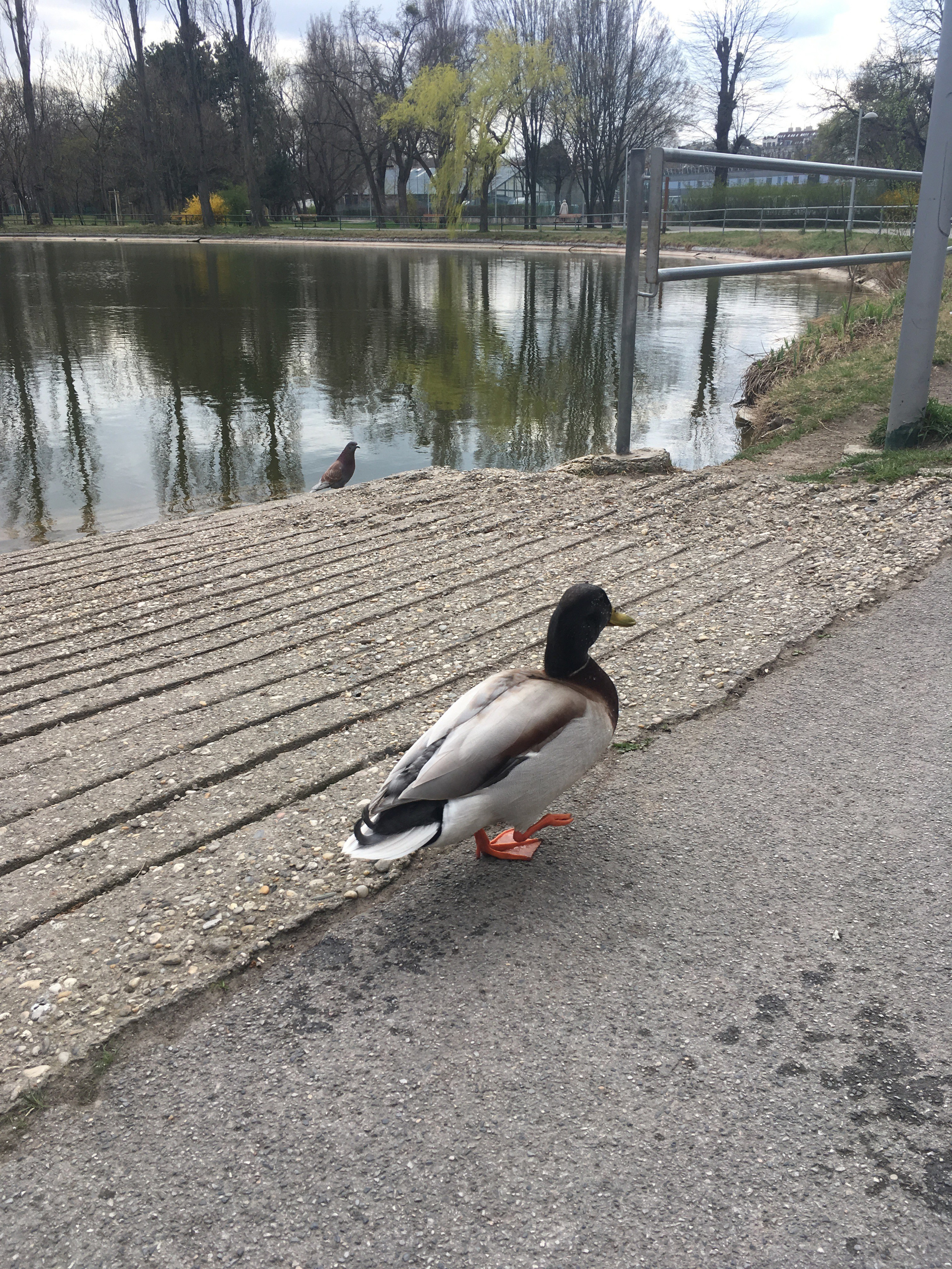 Вена — 19. Своя Мастерская