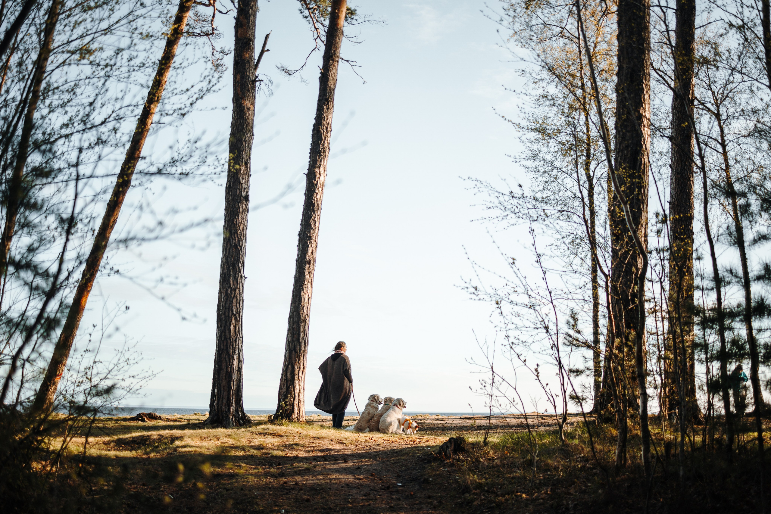 Катя и ее девочки. Фотограф — Анималист | Санкт-Петербург
