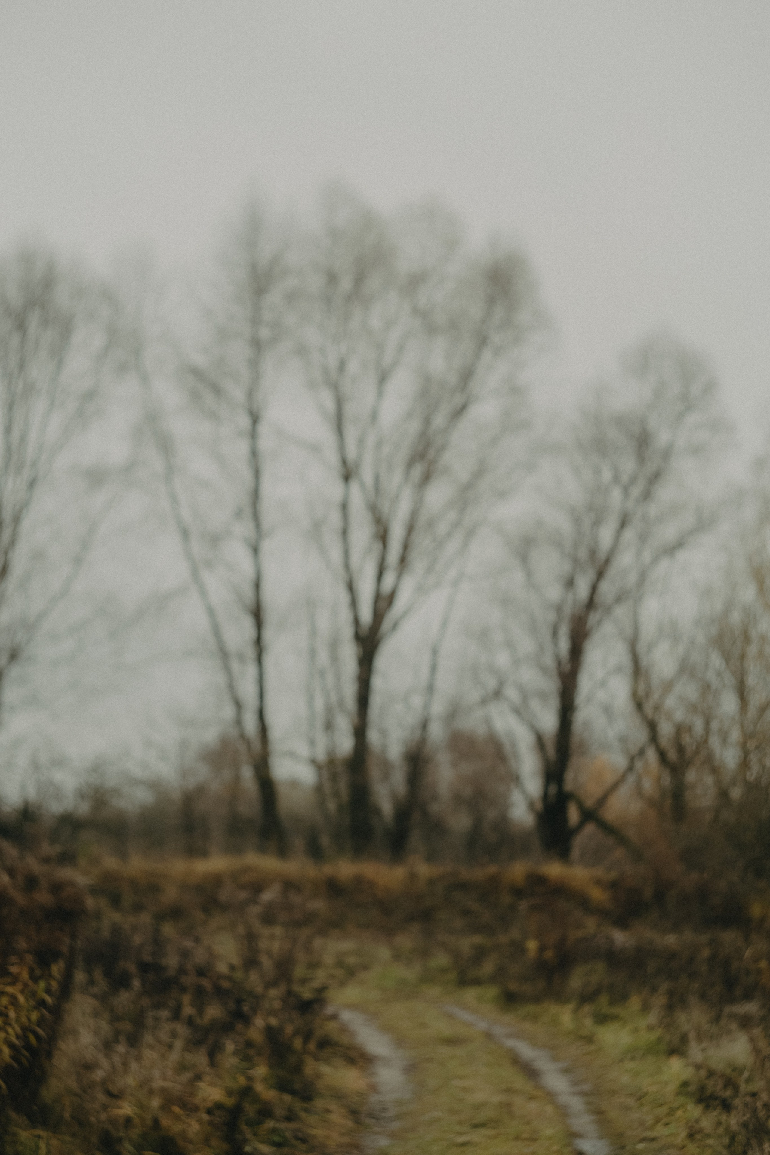 Диана и Антон. Свадебный и семейный фотограф Женя Добрянская в Нижнем Новгороде