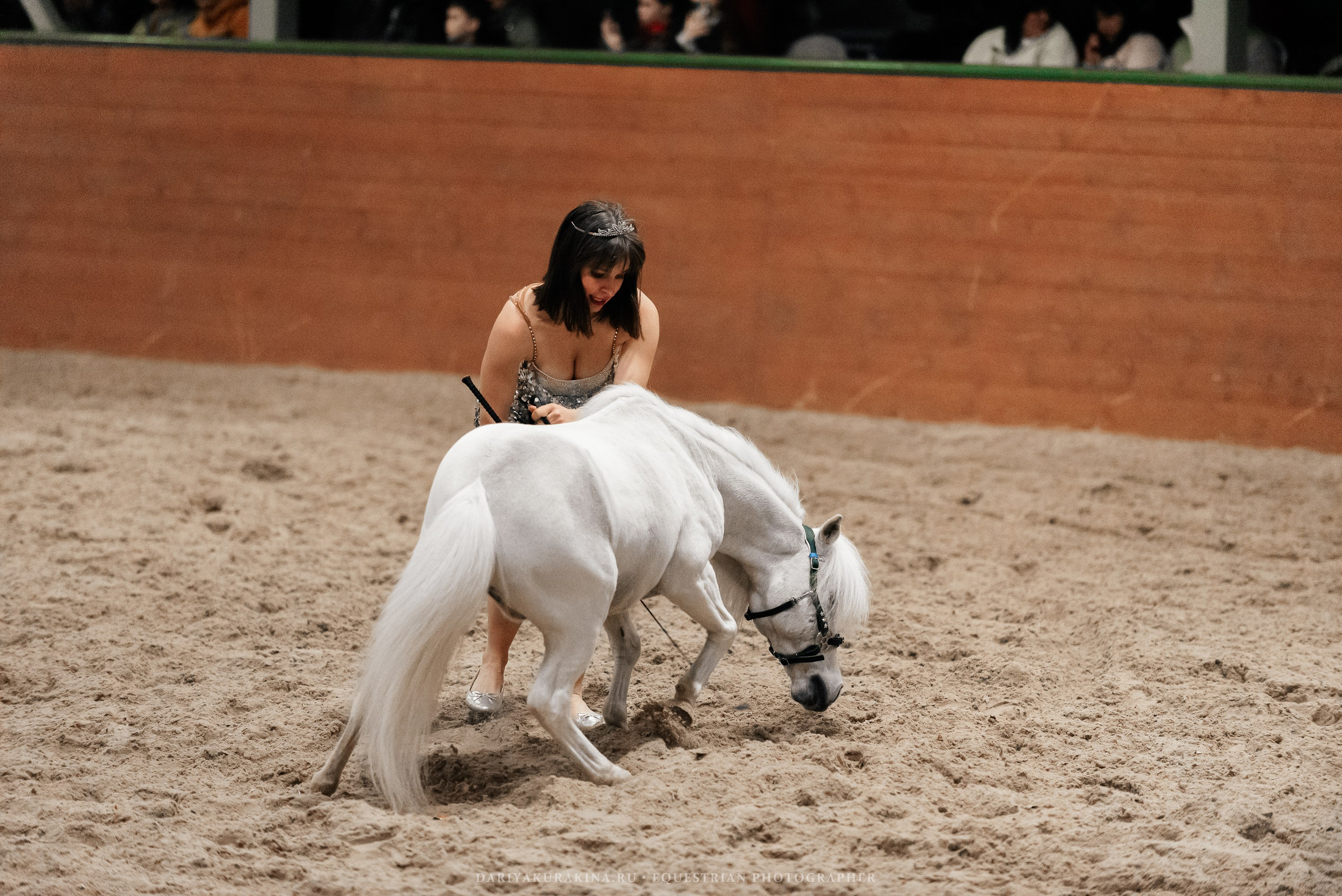 Конное представление «Дыхание Звёзд». Конный фотограф Куракина Дарья • Фотосессии с лошадьми