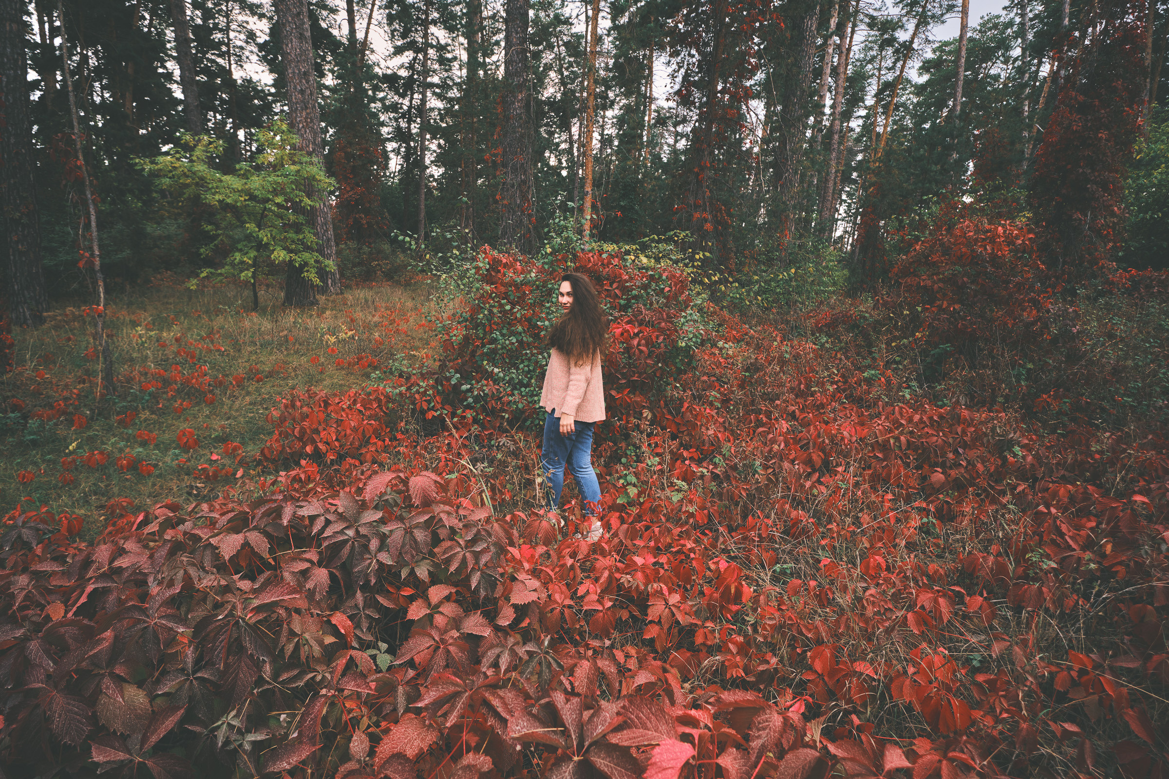 Осень. Фотограф Вадим Благодарный