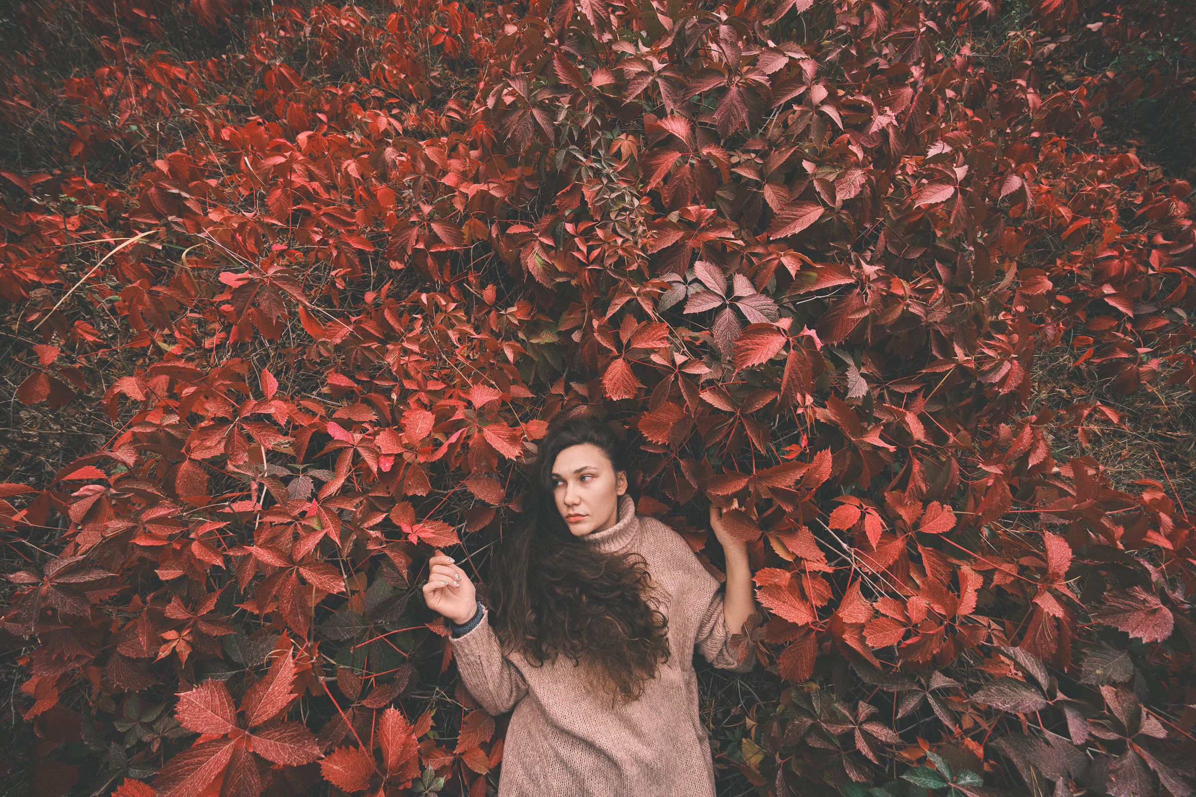 Осень. Фотограф Вадим Благодарный