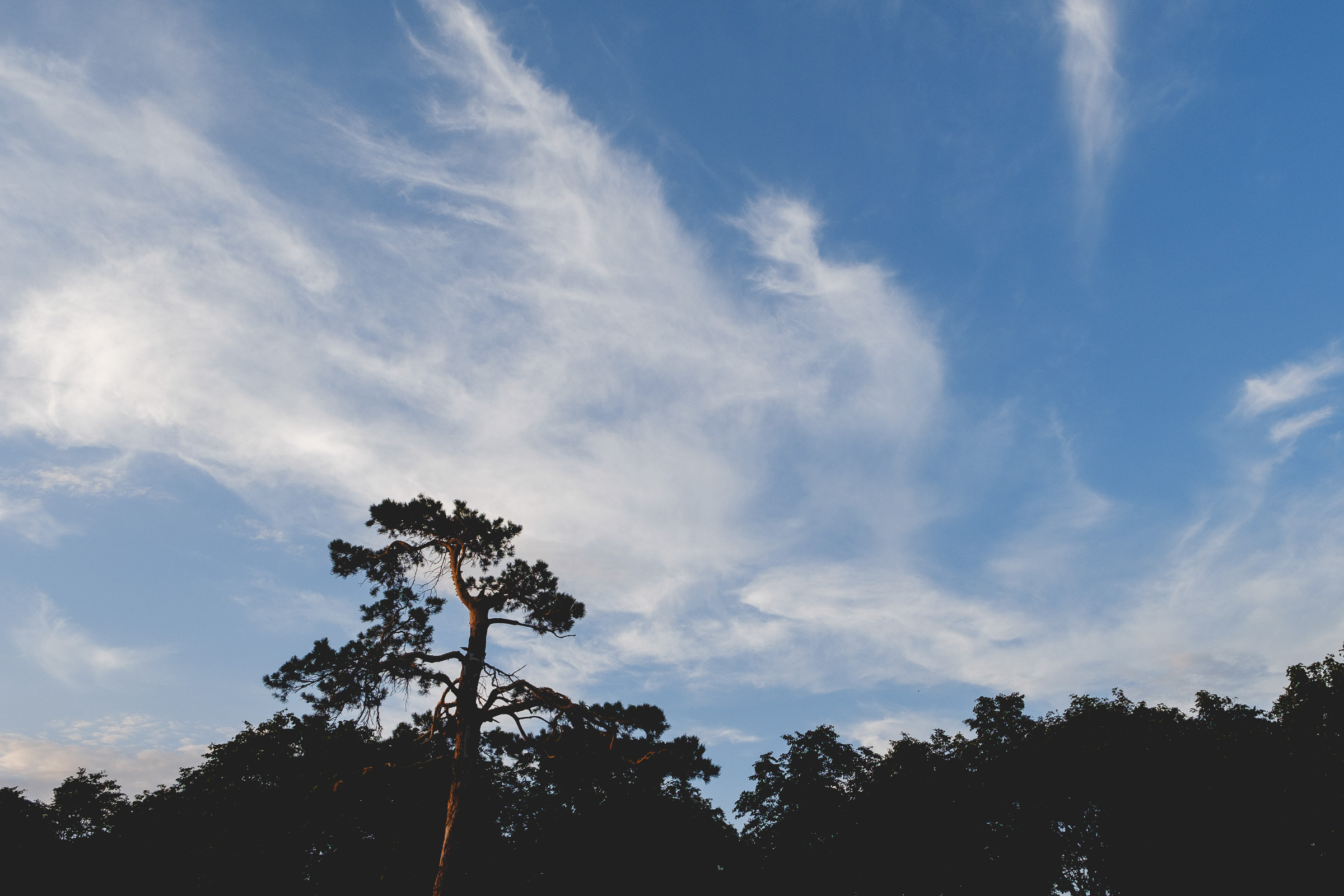 Лена, Паша и Мила. Фотограф Вадим Благодарный
