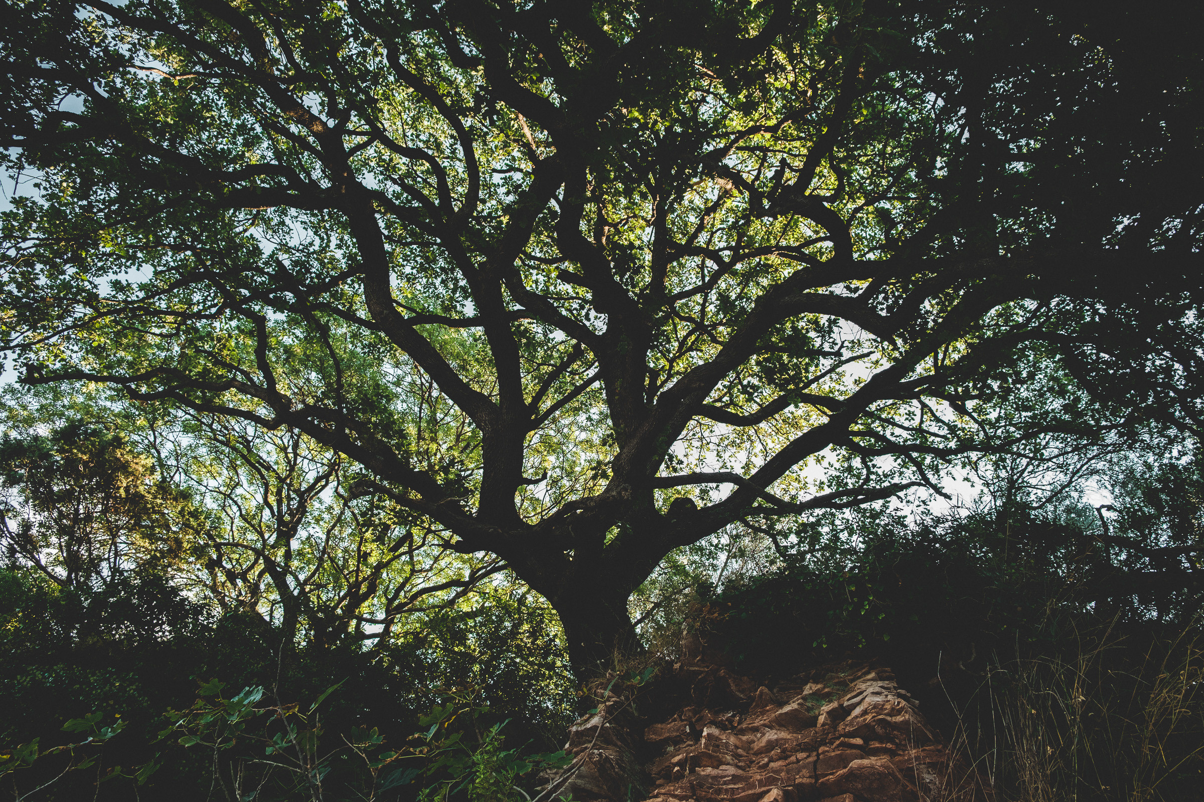 Юлия и Артём. Фотограф Вадим Благодарный
