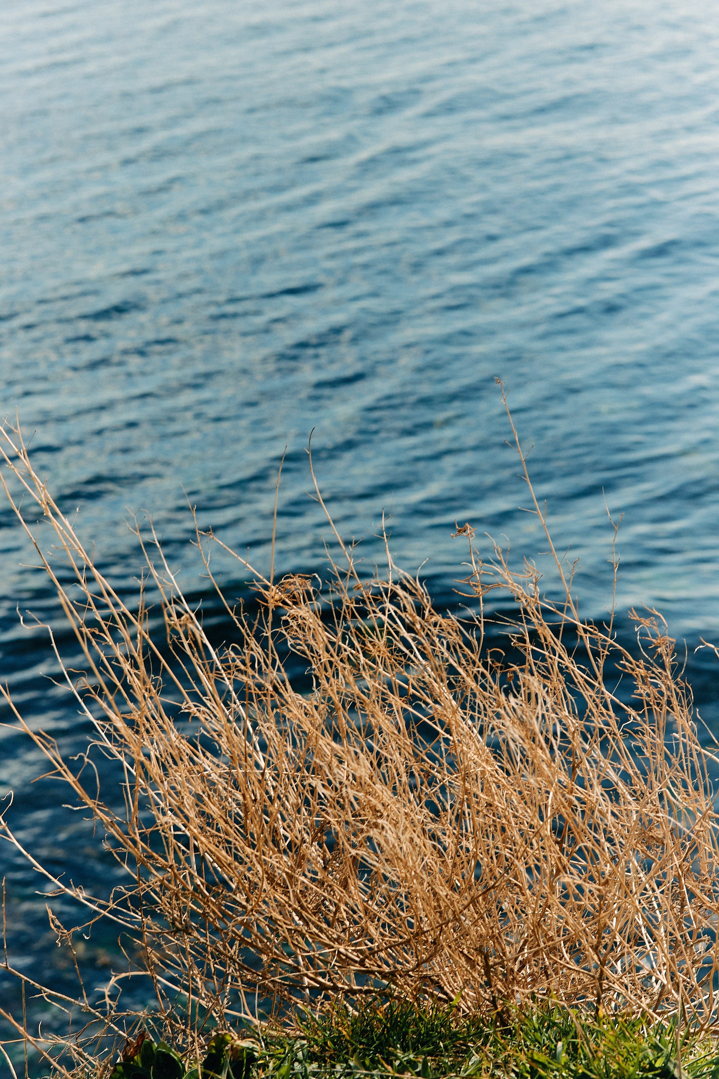 Юг России. Профессиональный Фотограф во Владимире, в Москве и в Суздале — Полина Романычева