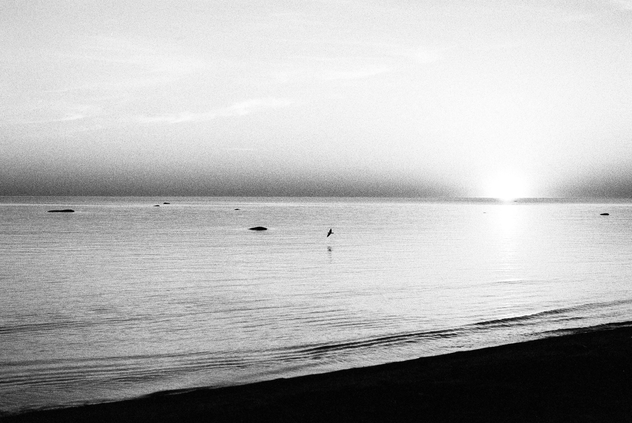 Film. Ruslan UI Dev Page