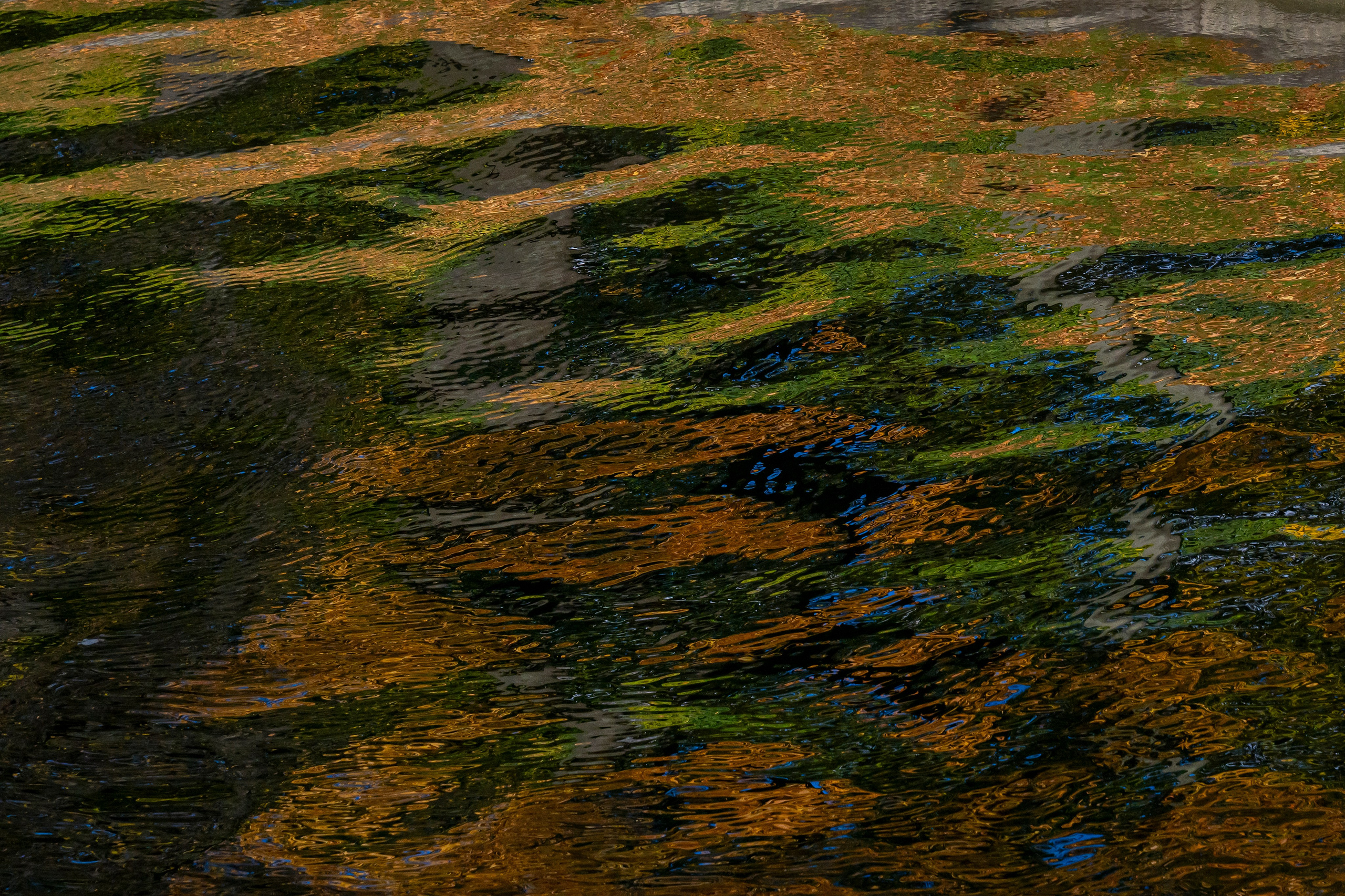 Dimitri Bakhtadze, colour photos. Dimitri Bakhtadze photographer