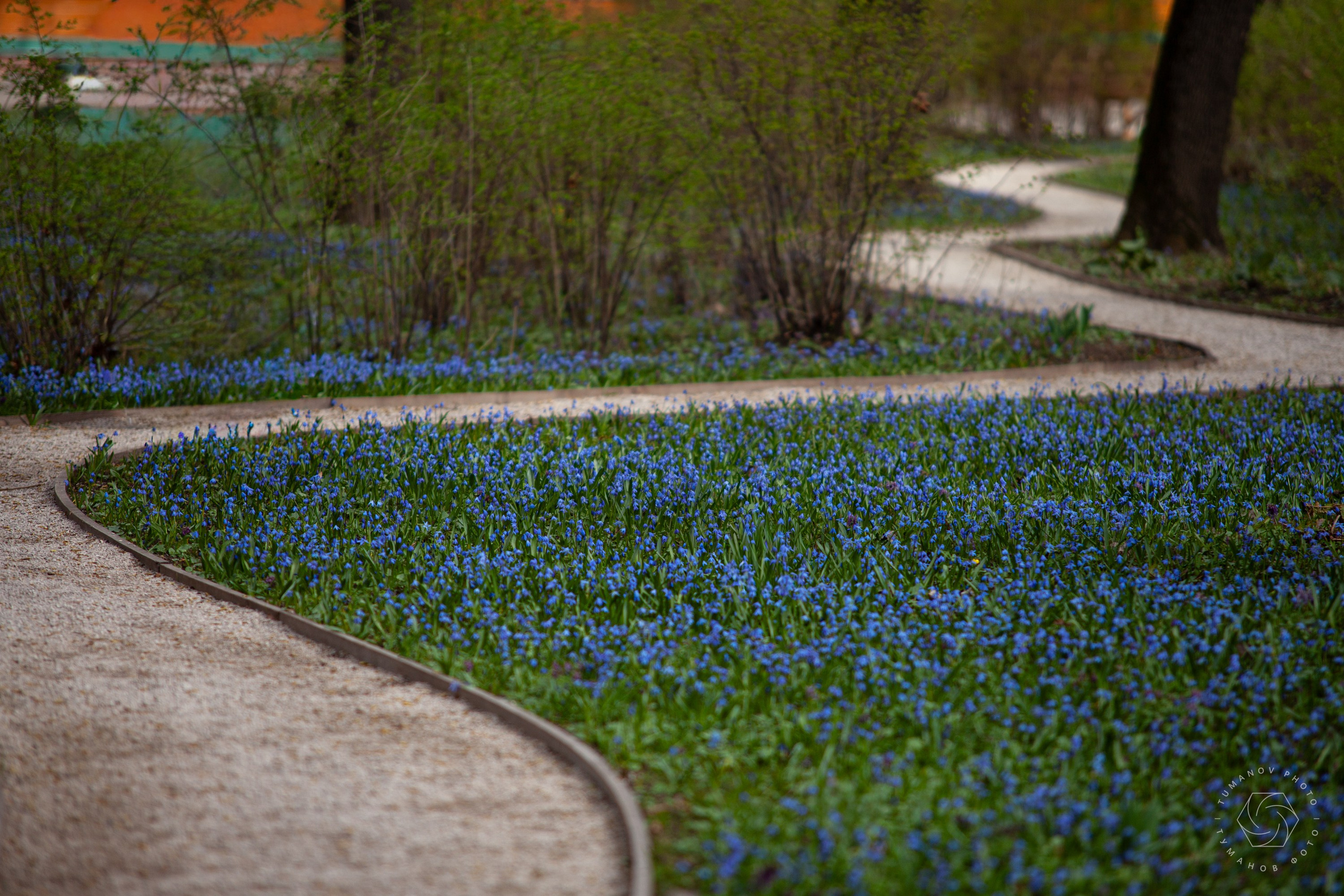 Усадьба Л. Н. Толстого в Хамовниках. Туманов Виталий — фотограф Москва