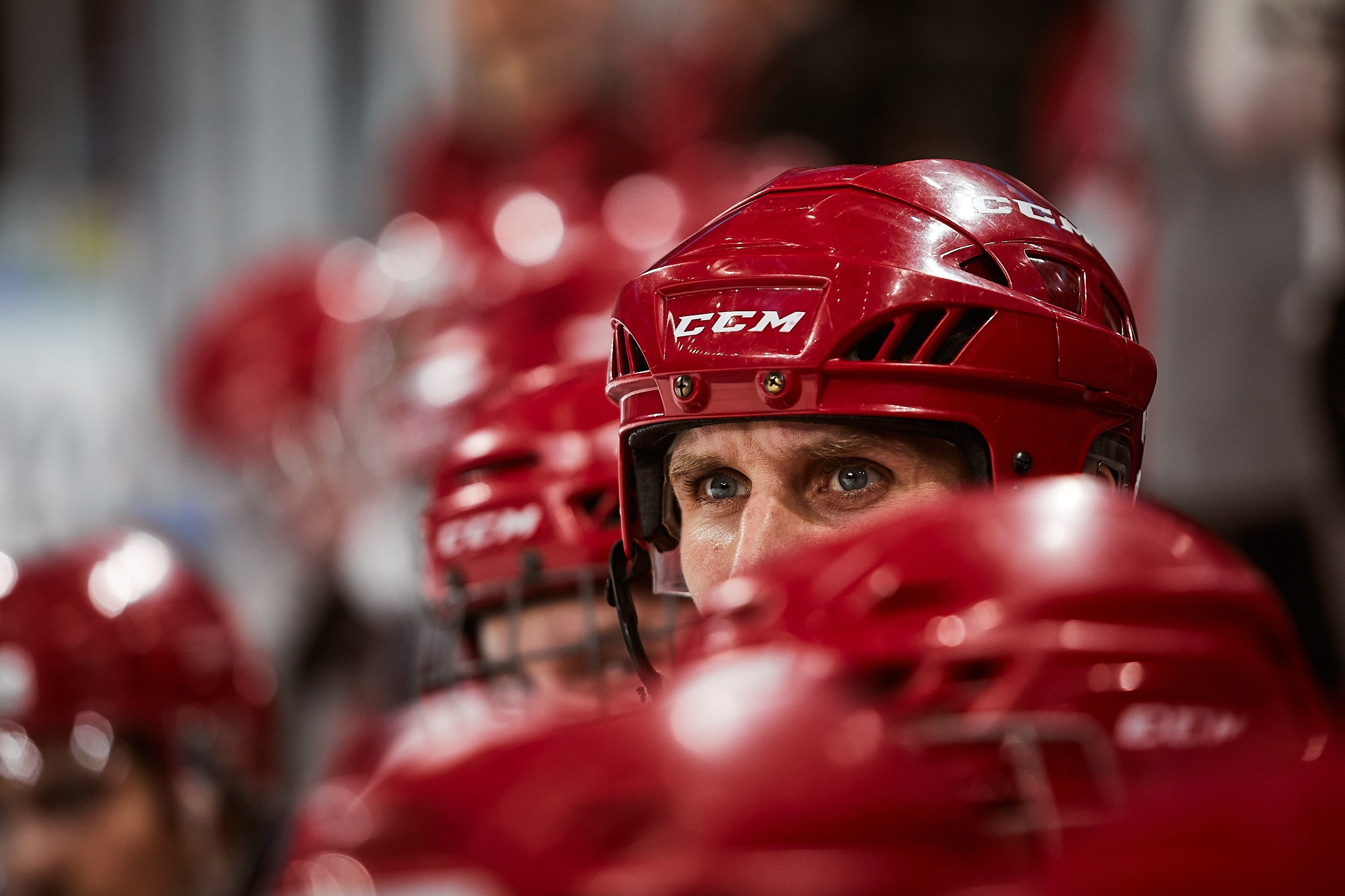 Спорт. AFL Media