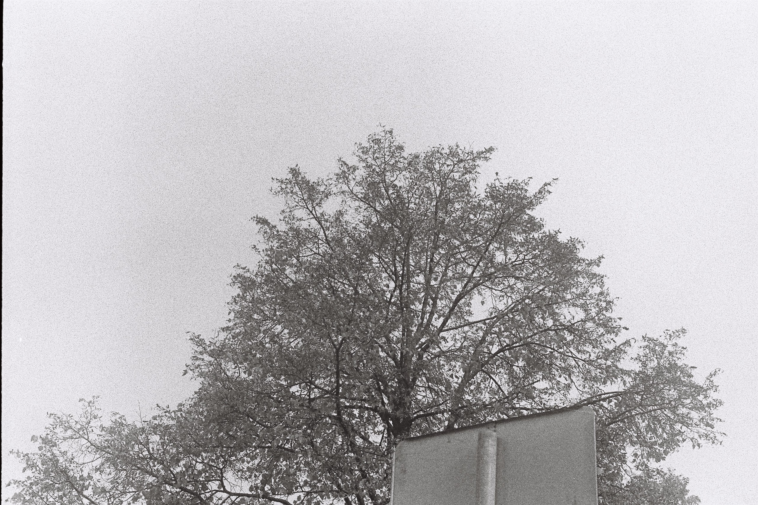 Зенит + чб пленка. Фотограф Игорь Гуменников Удмуртия Шаркан