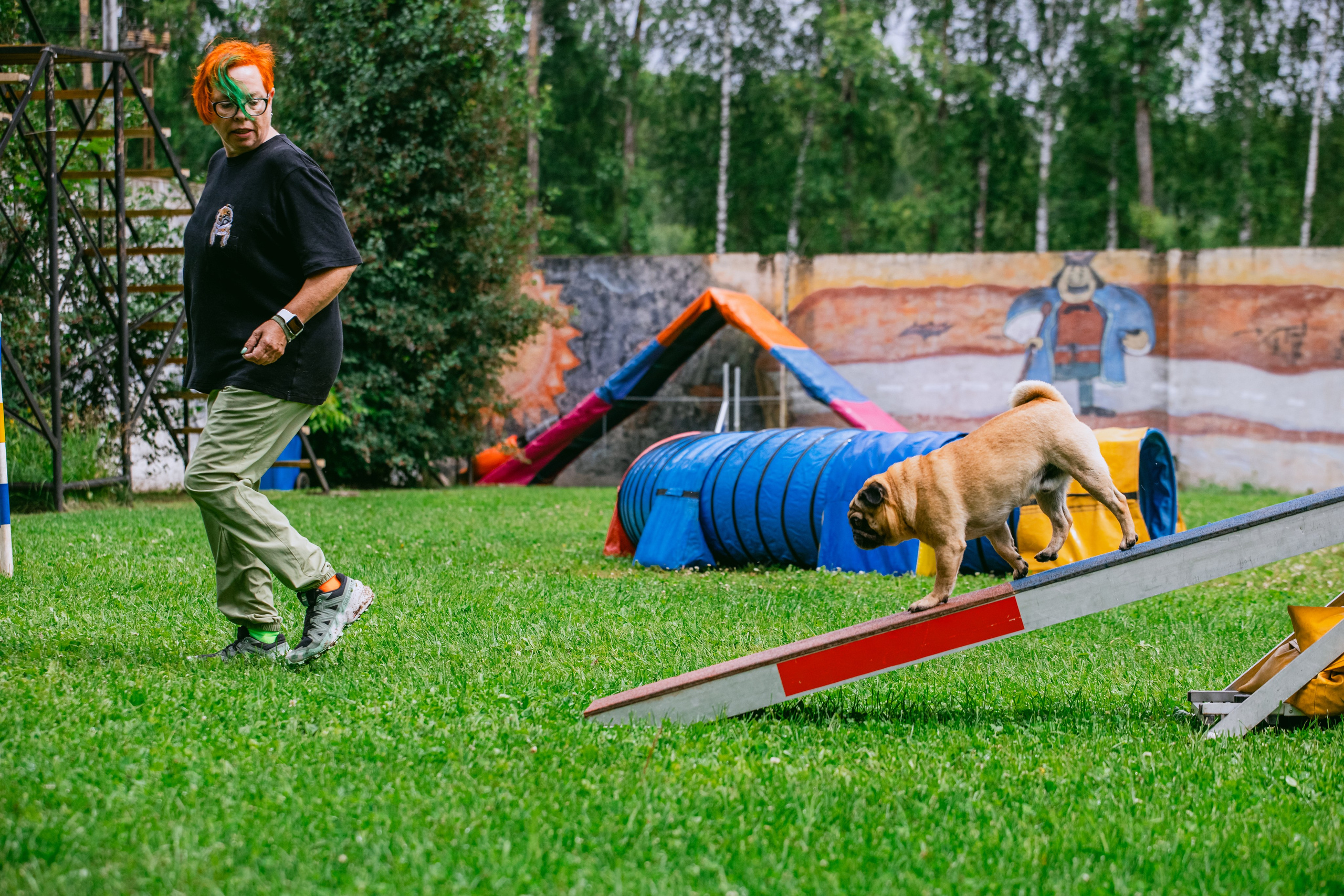 Соревнования по аджилити Долгопрудный 30.06.2025. Фотограф-анималист Татьяна Степанова