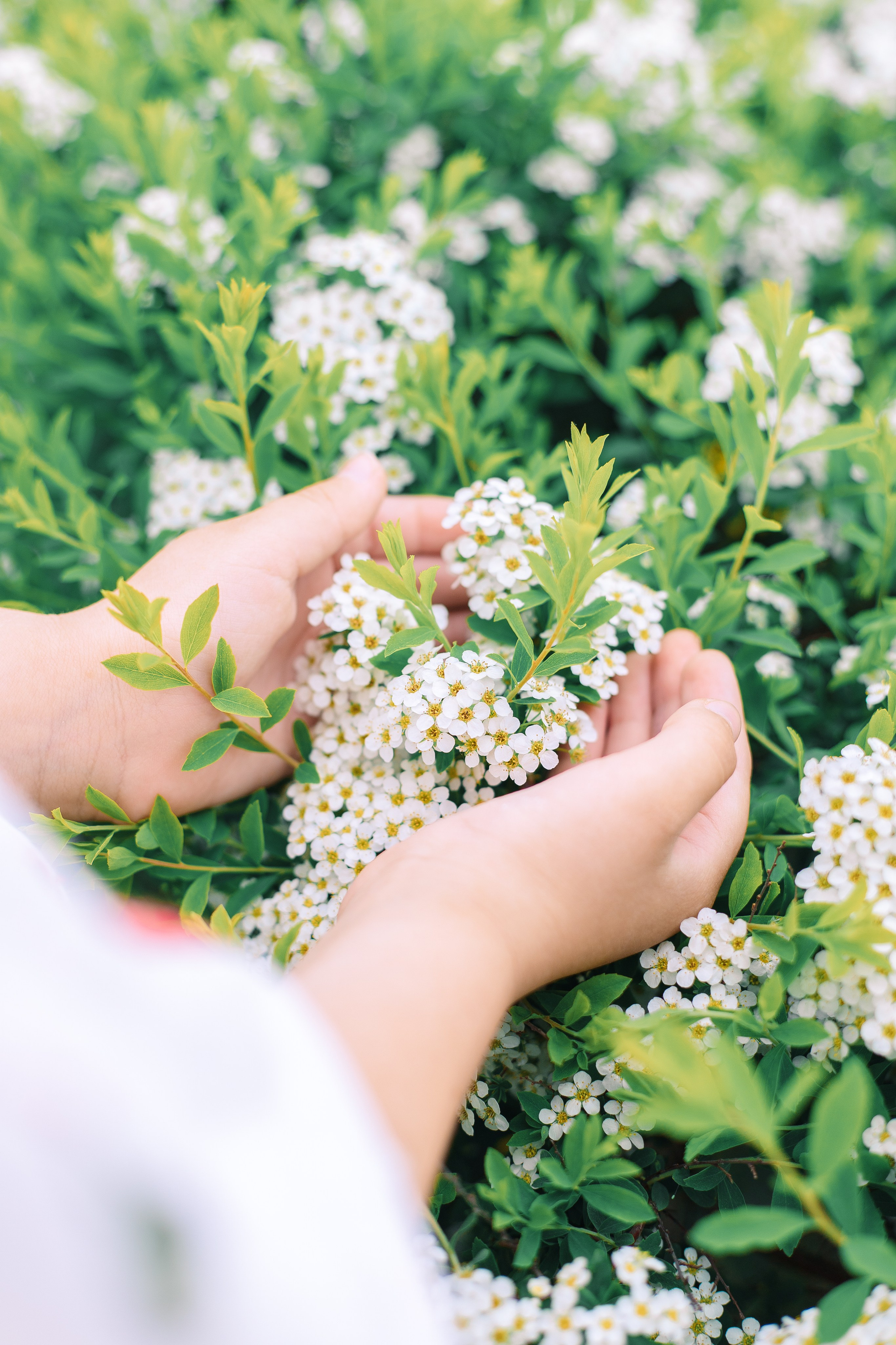 Фотосессия мамы и дочки цветение — Муринский парк. Фотограф в Санкт-Петербурге, Анна Скворцова