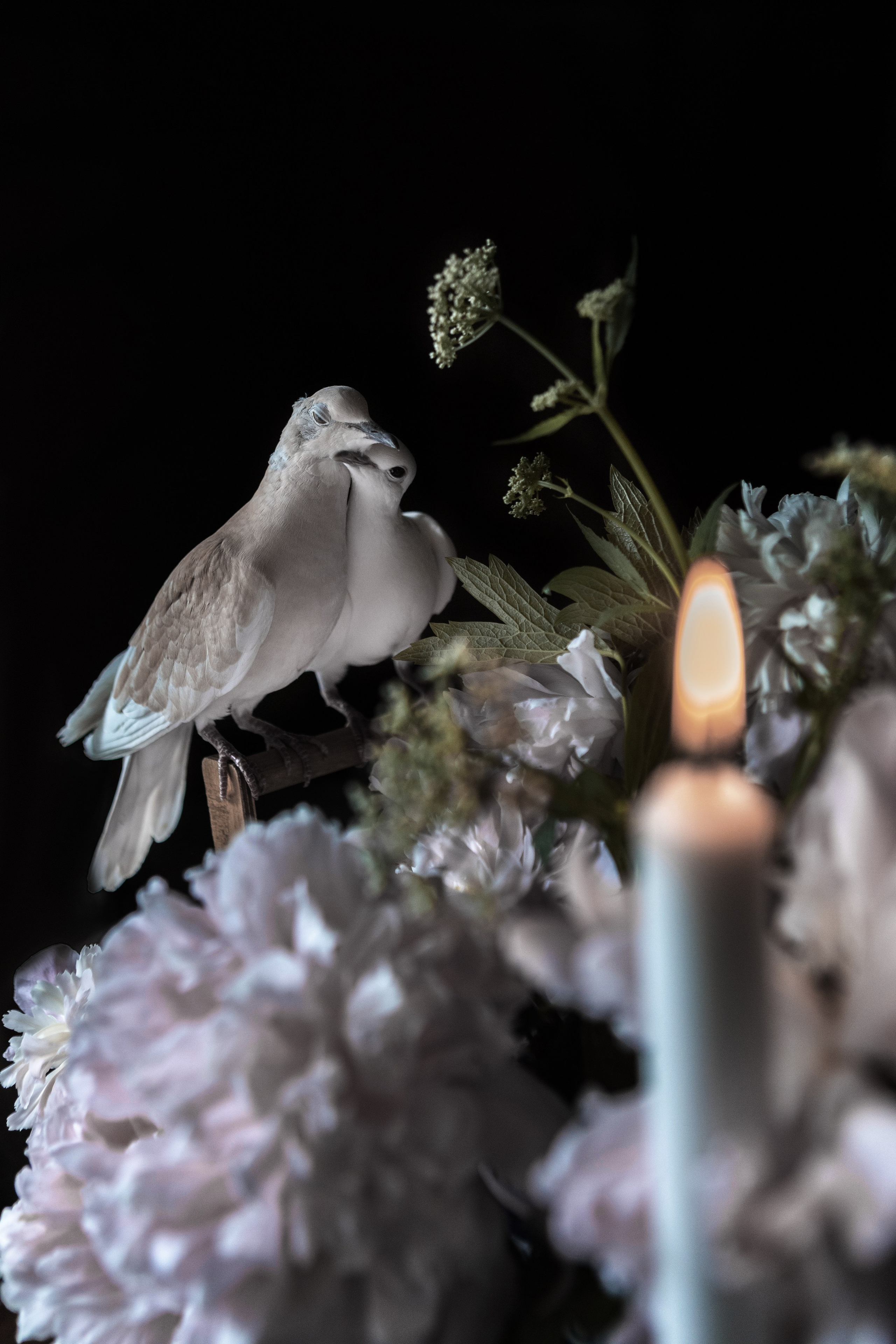 ЦВЕТЫ И ГОРЛИЦЫ. Фотограф на крестины