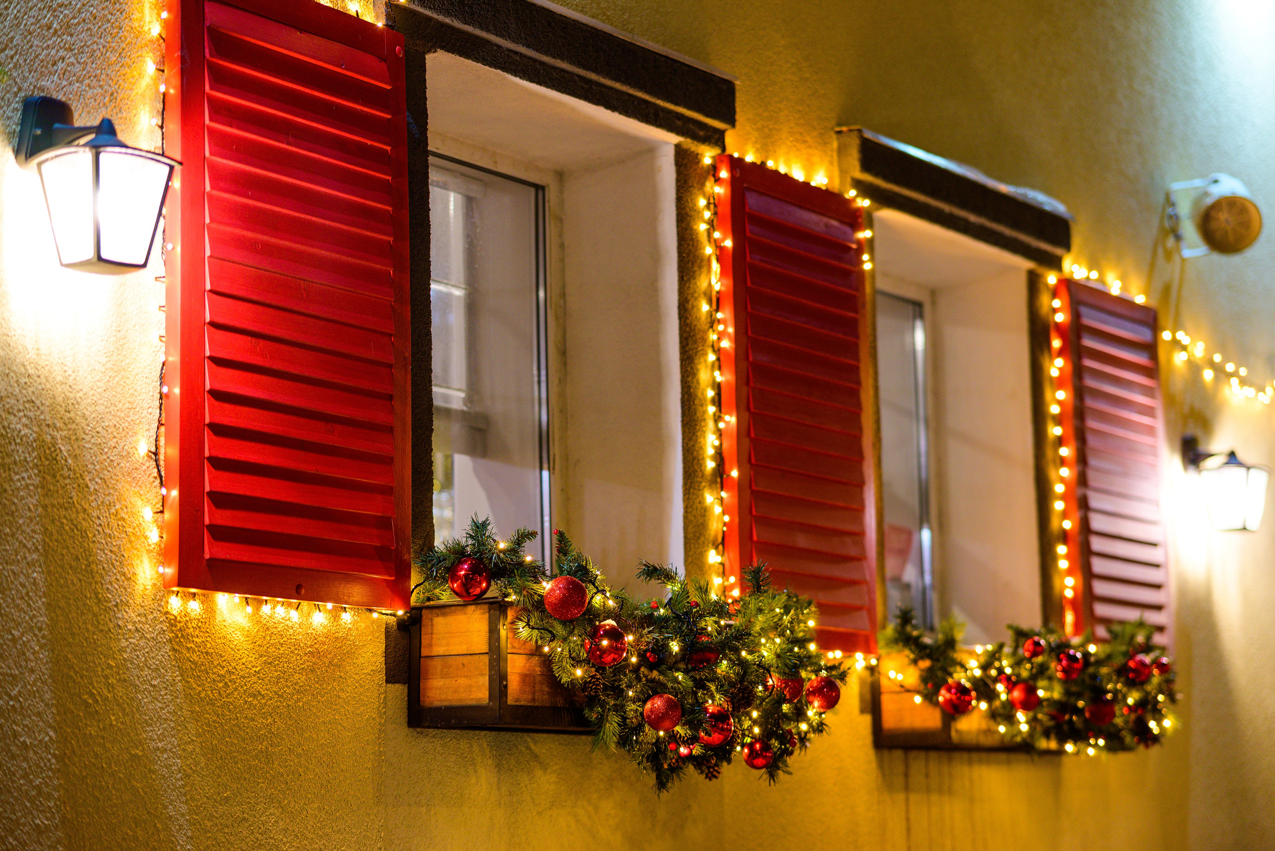 Зимняя Калининградская область. Фотосъемка и видеосъемка в Калининграде Liveemotion.pro