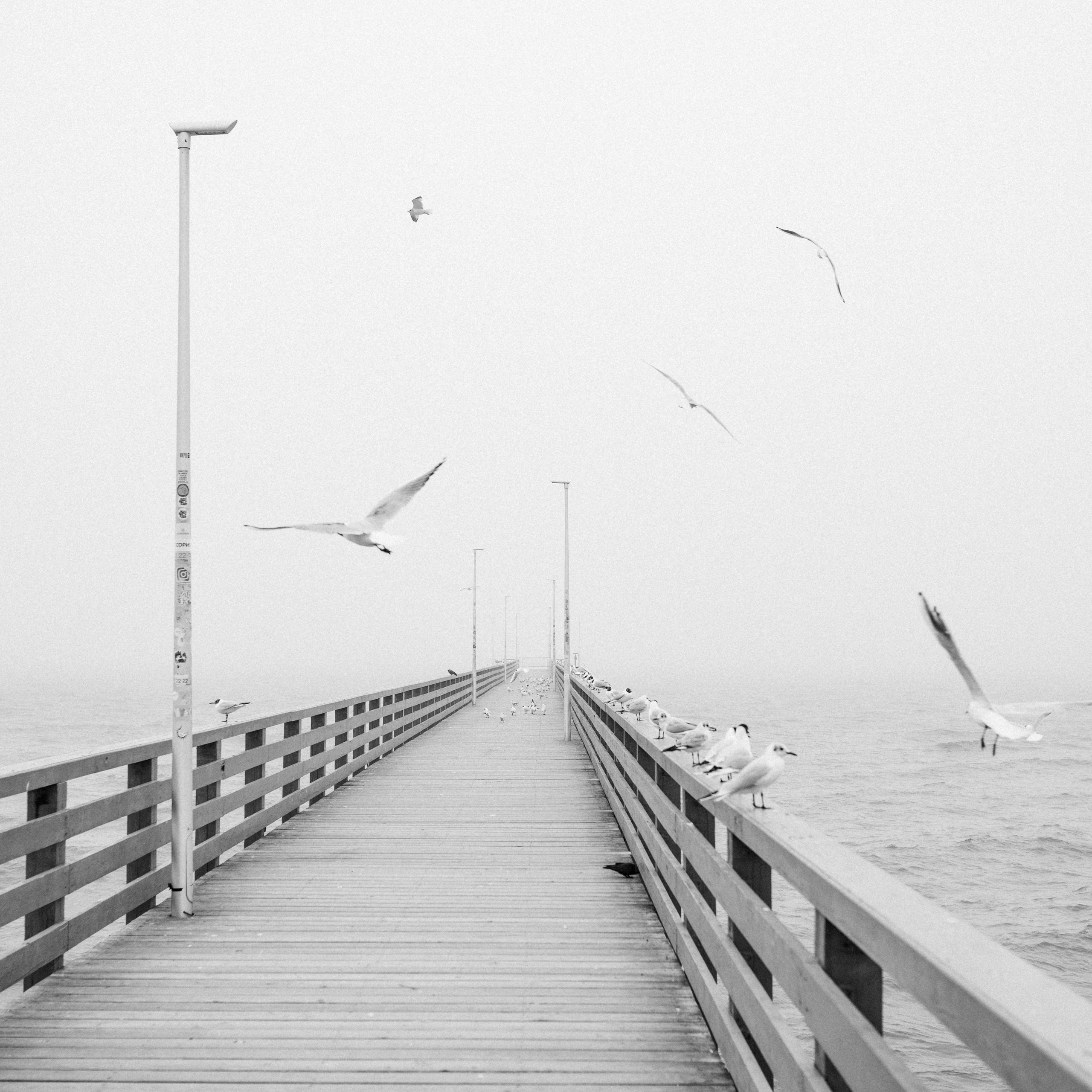 Travel. Лена Крутова. Фотограф в Москве