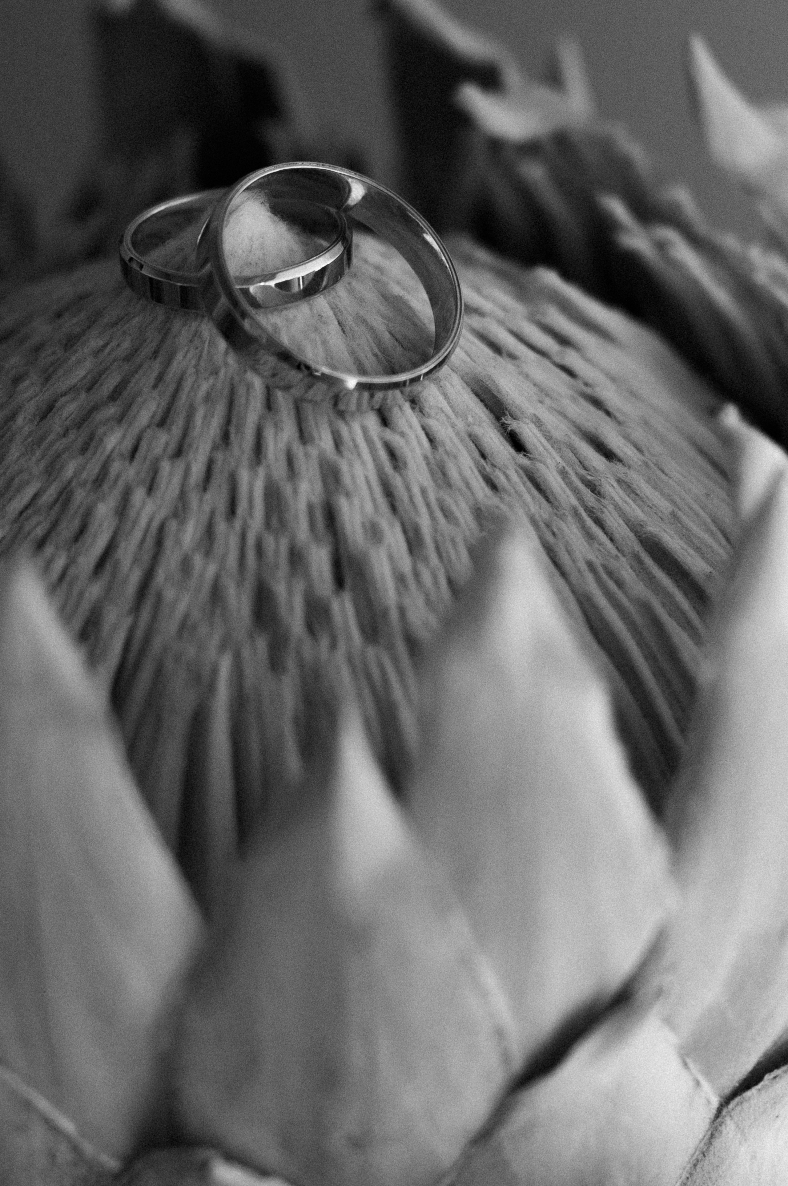 Евгений & Анна. Свадебный фотограф в Краснодаре