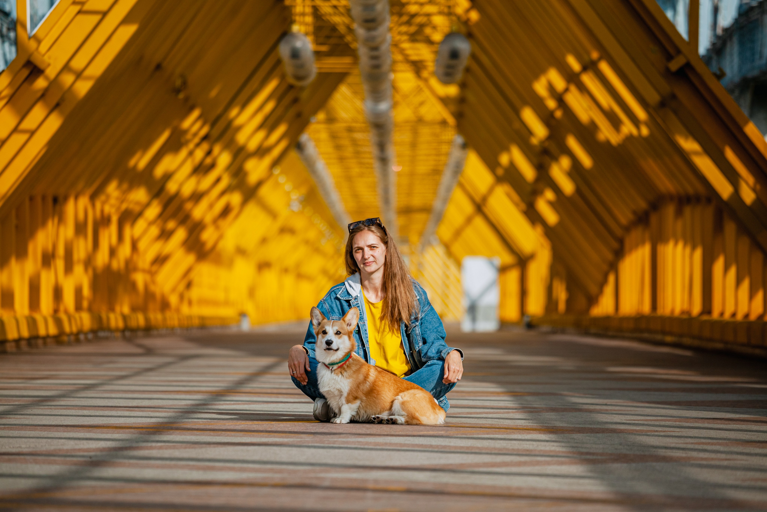 Андреевский мост. Фотограф-анималист Татьяна Степанова