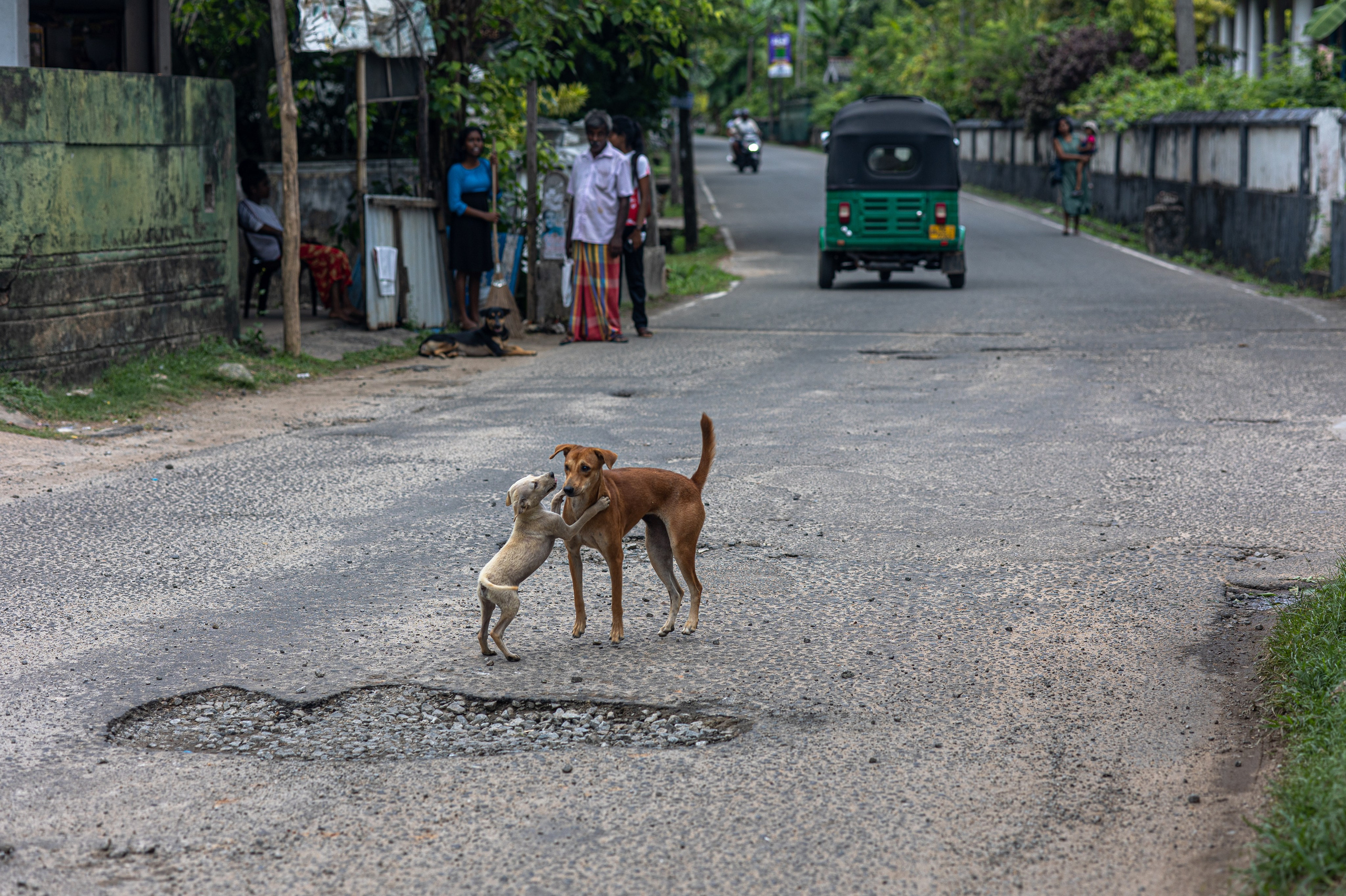 Weligama. Photographer Sonkina Tatiana (Tanya Ash)