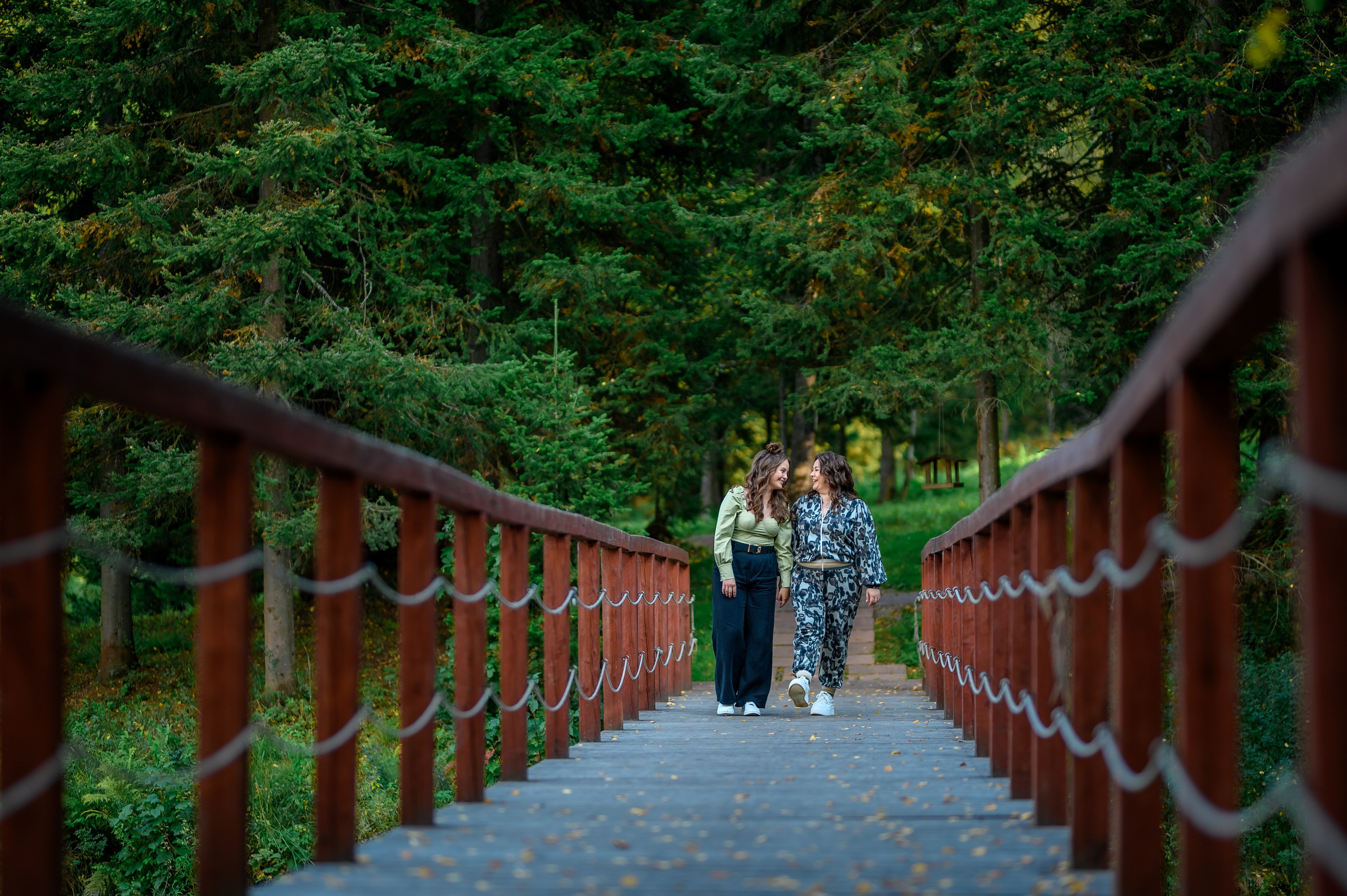 Кедровка. ProfotoNK