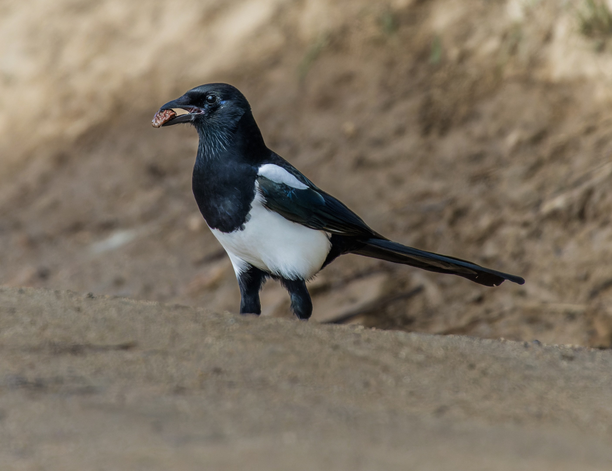 Мечты сбываются?!. Константин Дем | Фотограф