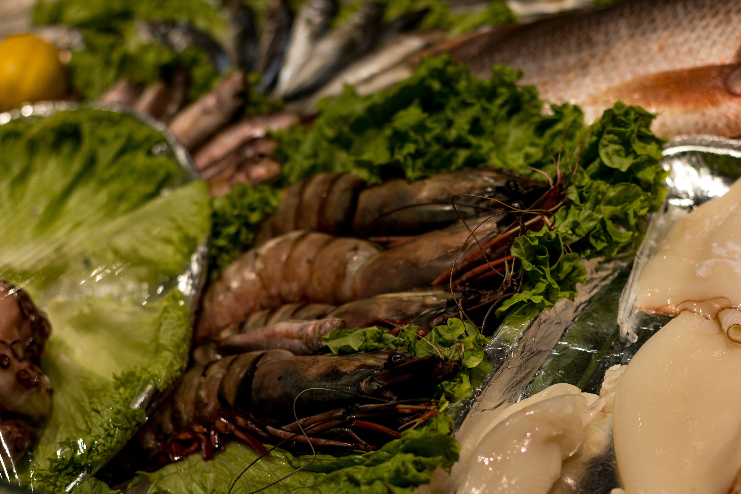 Москва. Фотограф в Сочи