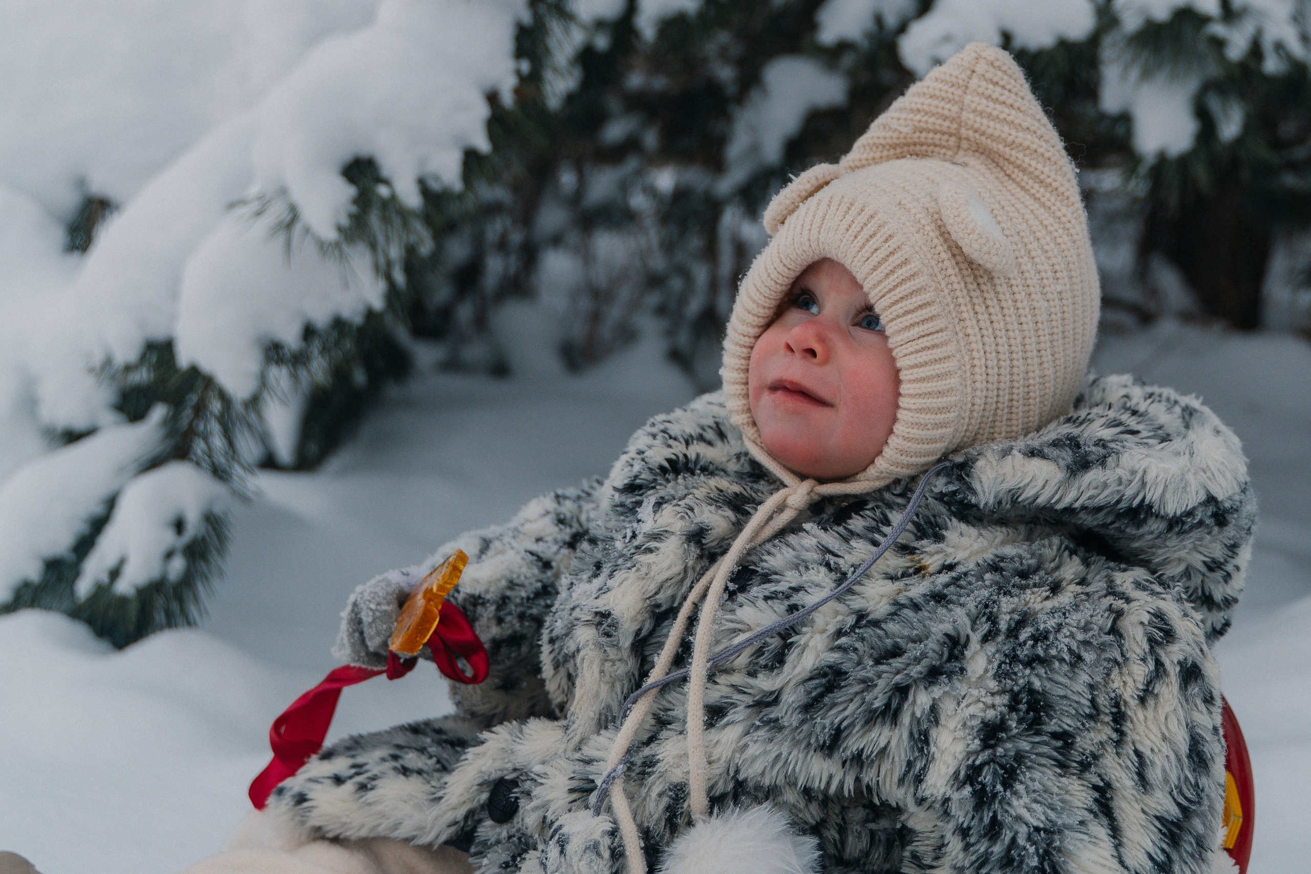 Зимняя сказка. FotoTanya. Раменское/Жуковский/Бронницы